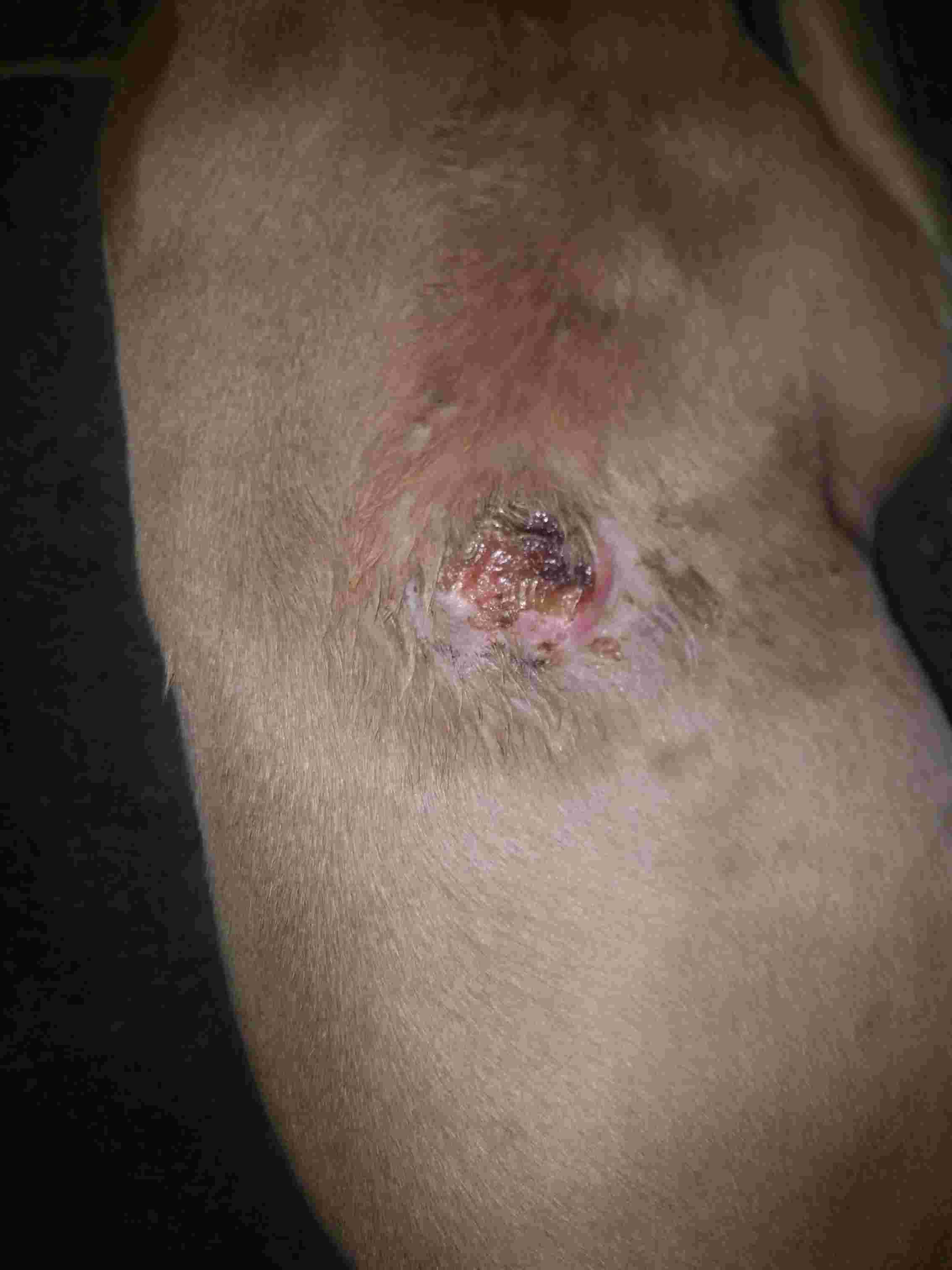 Question details sensitive content