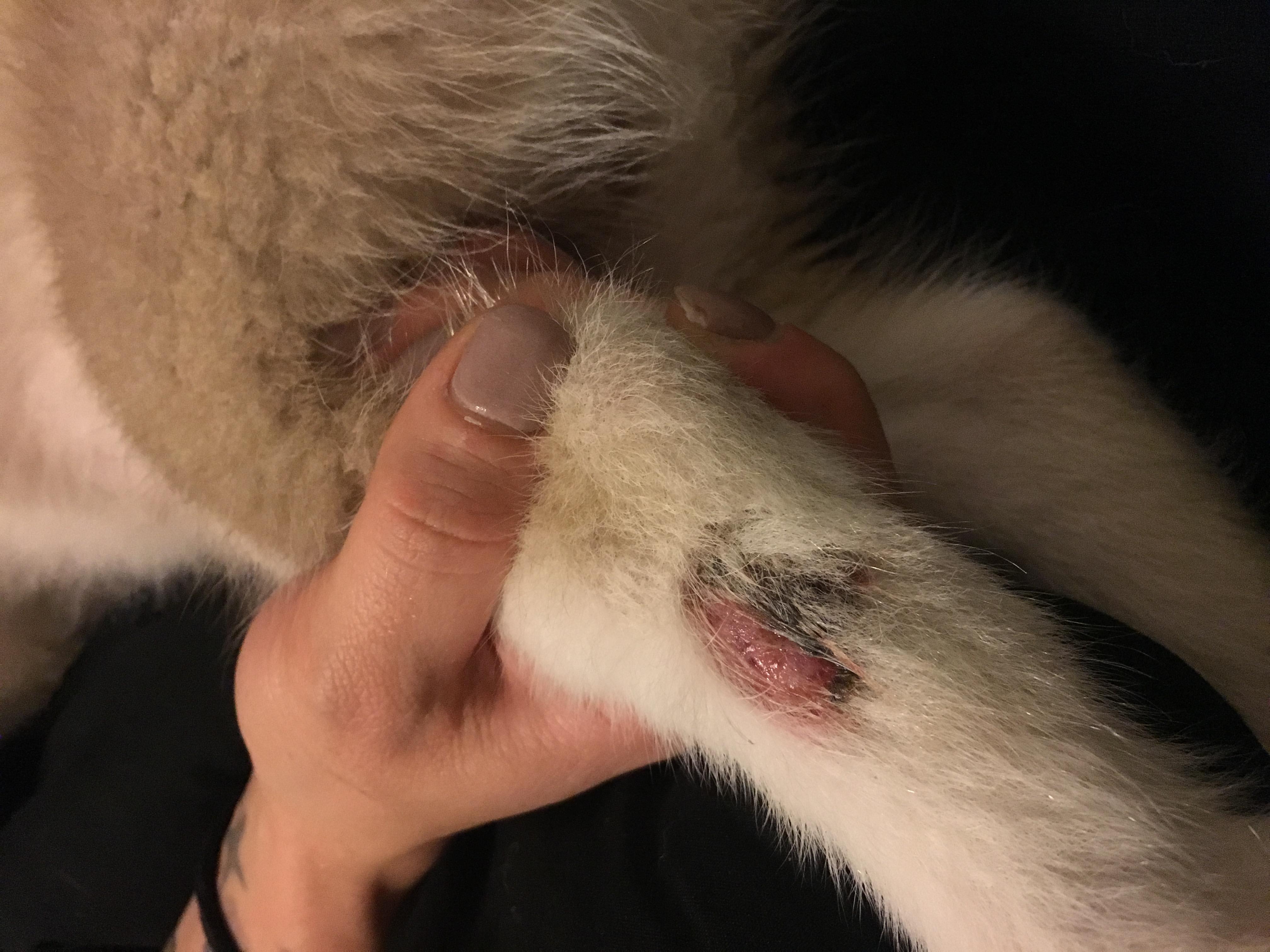 Question details sensitive content