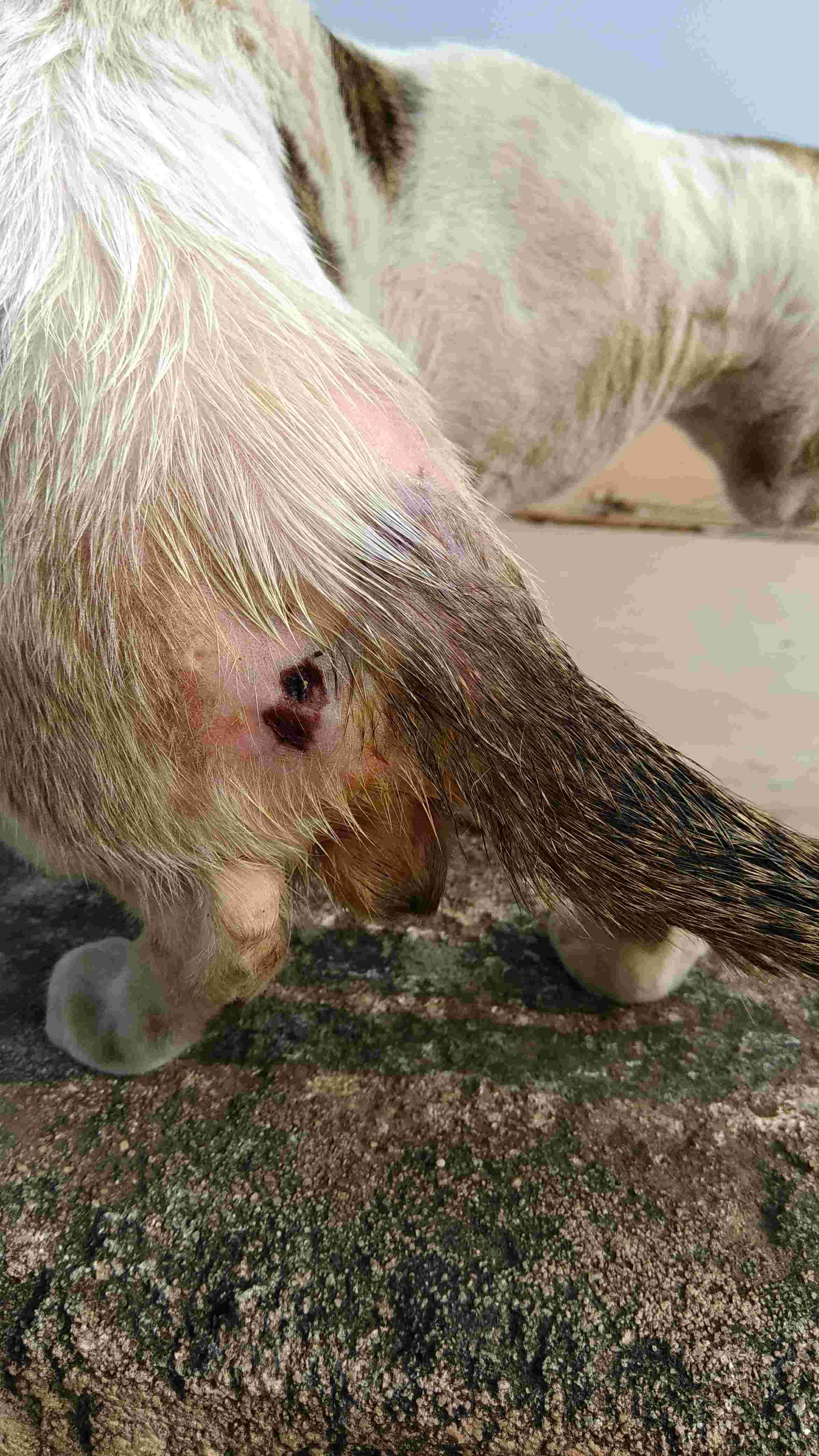 Question details sensitive content