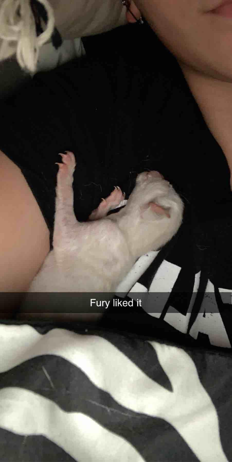 Question details sensitive content