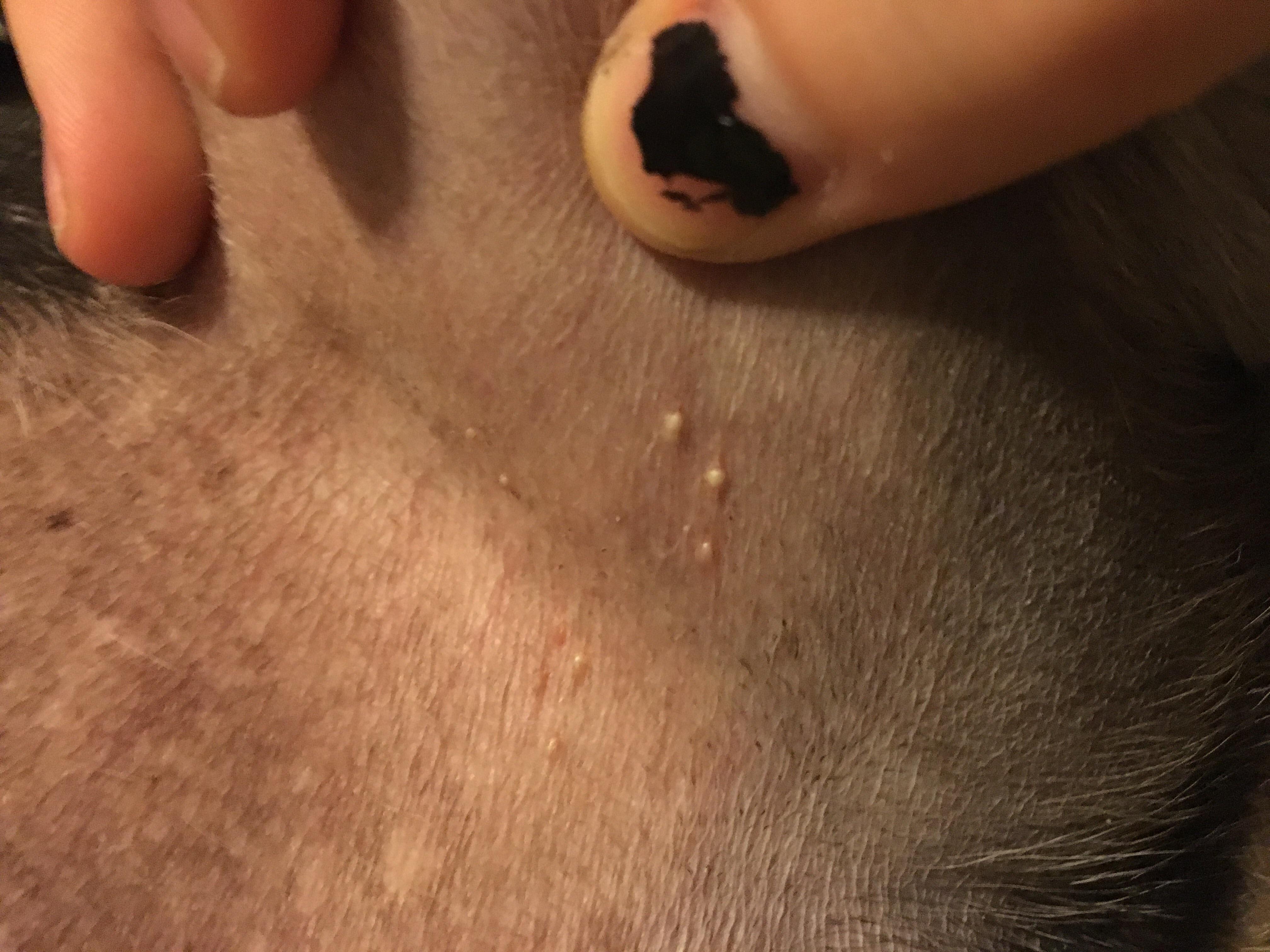 Question details sensitive content