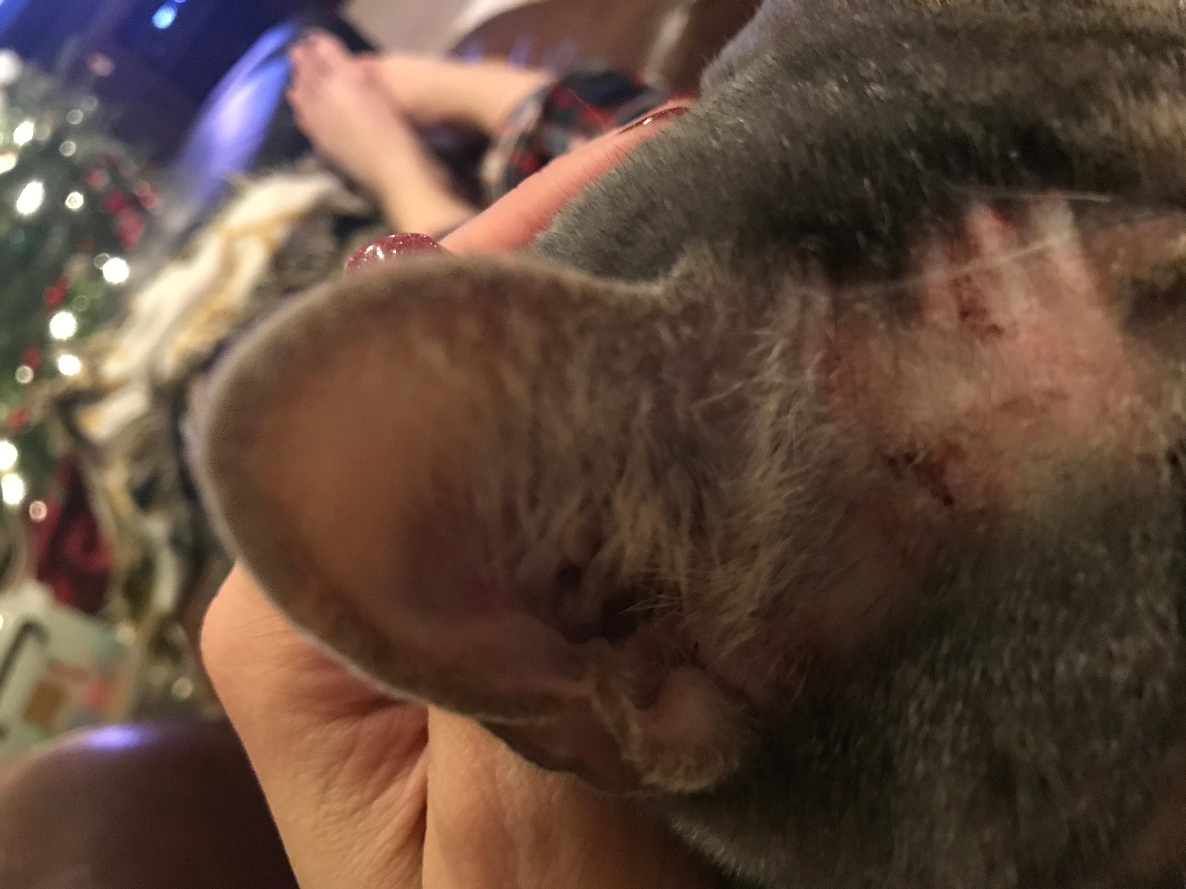 Question details sensitive content