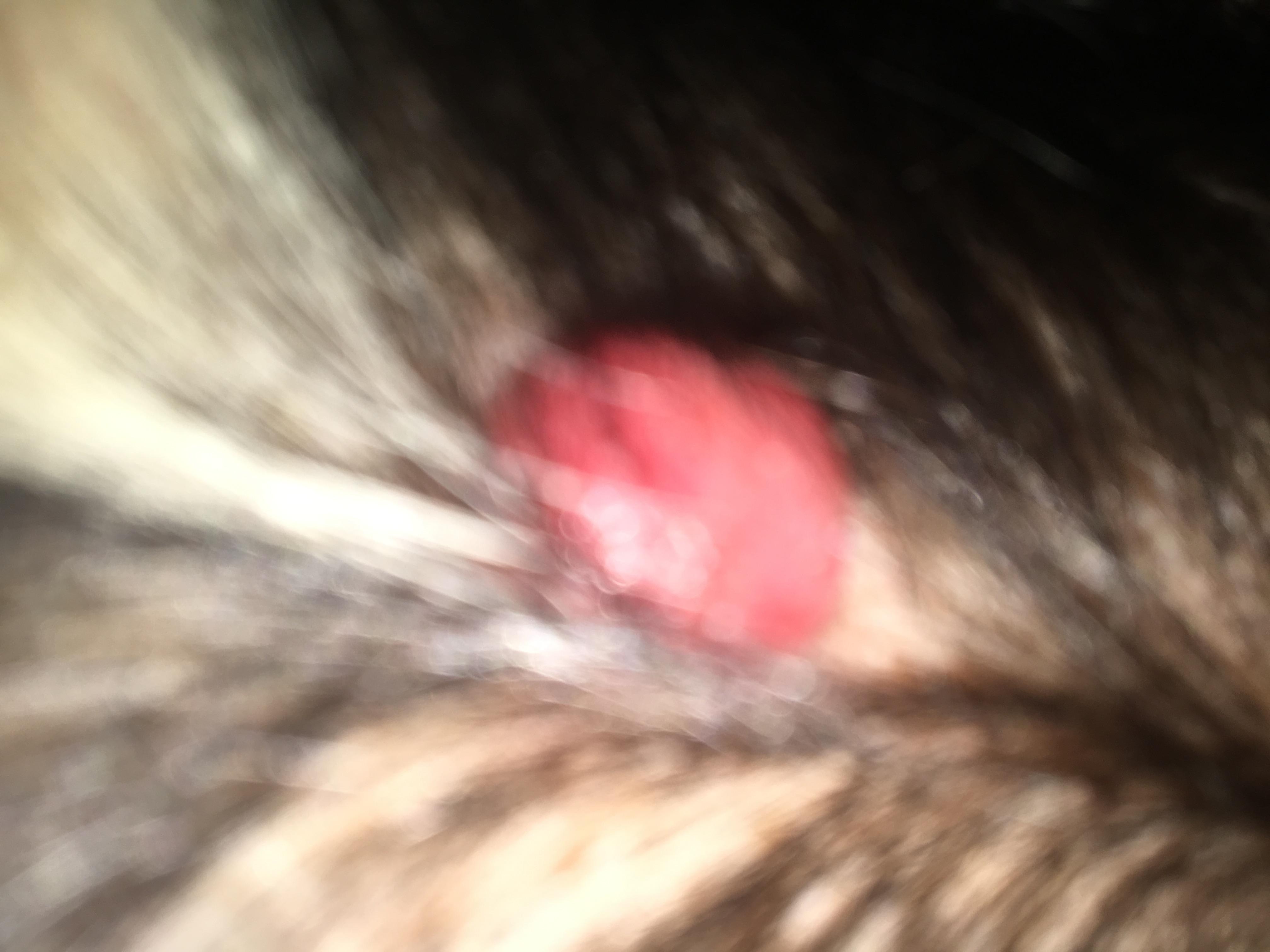 Question details sensitive content