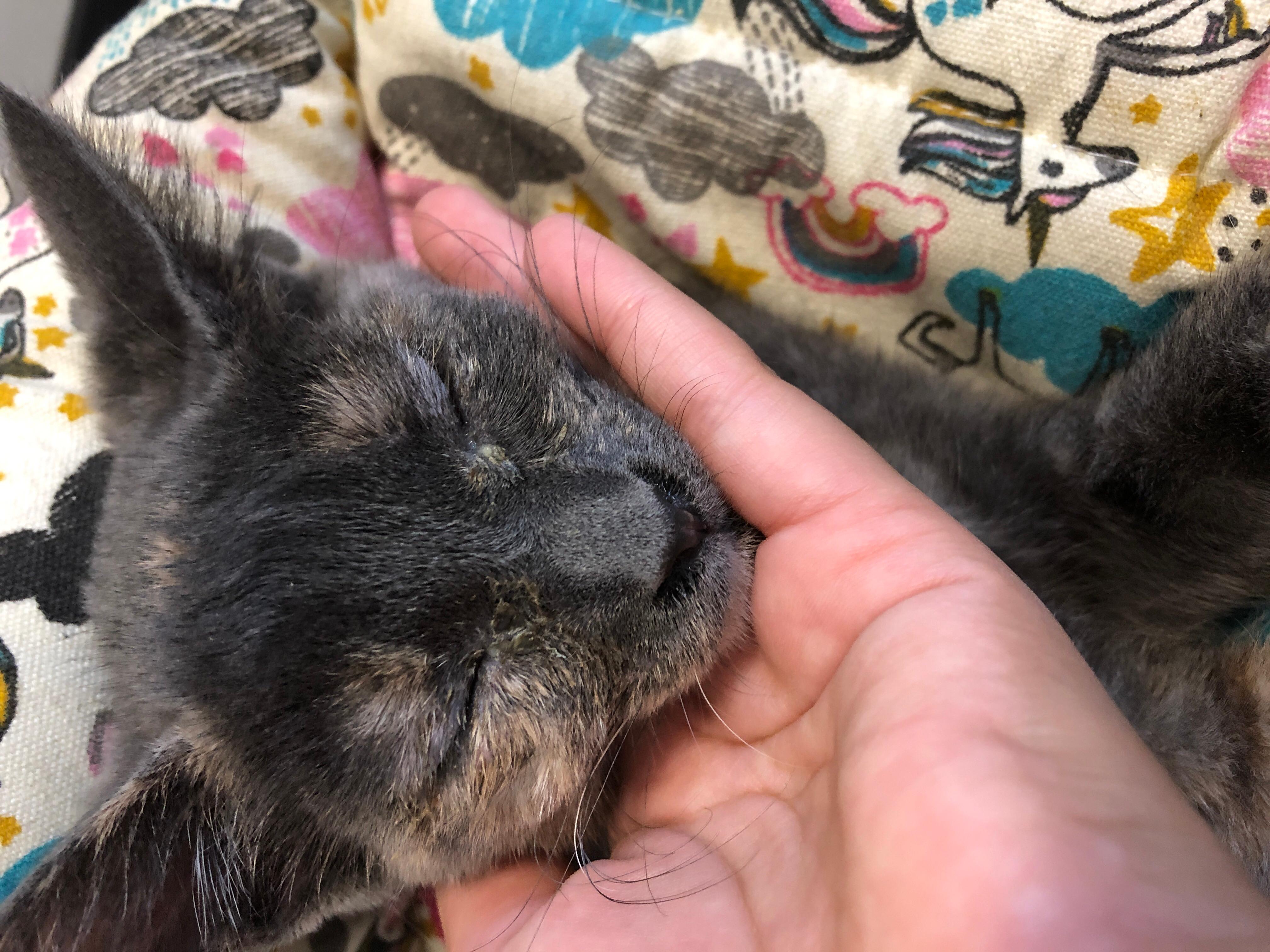 Question details sensitive content