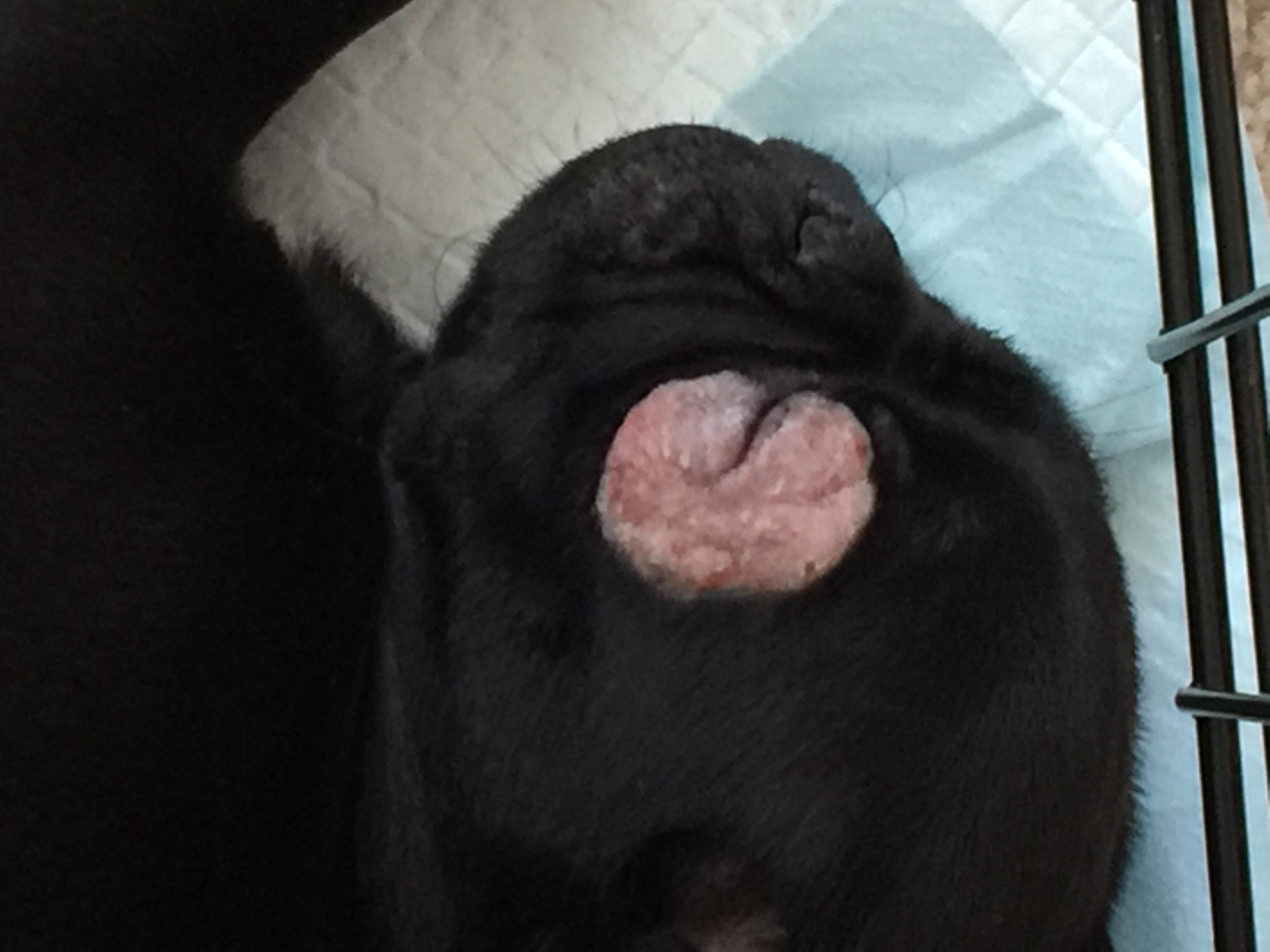 Question details sensitive content