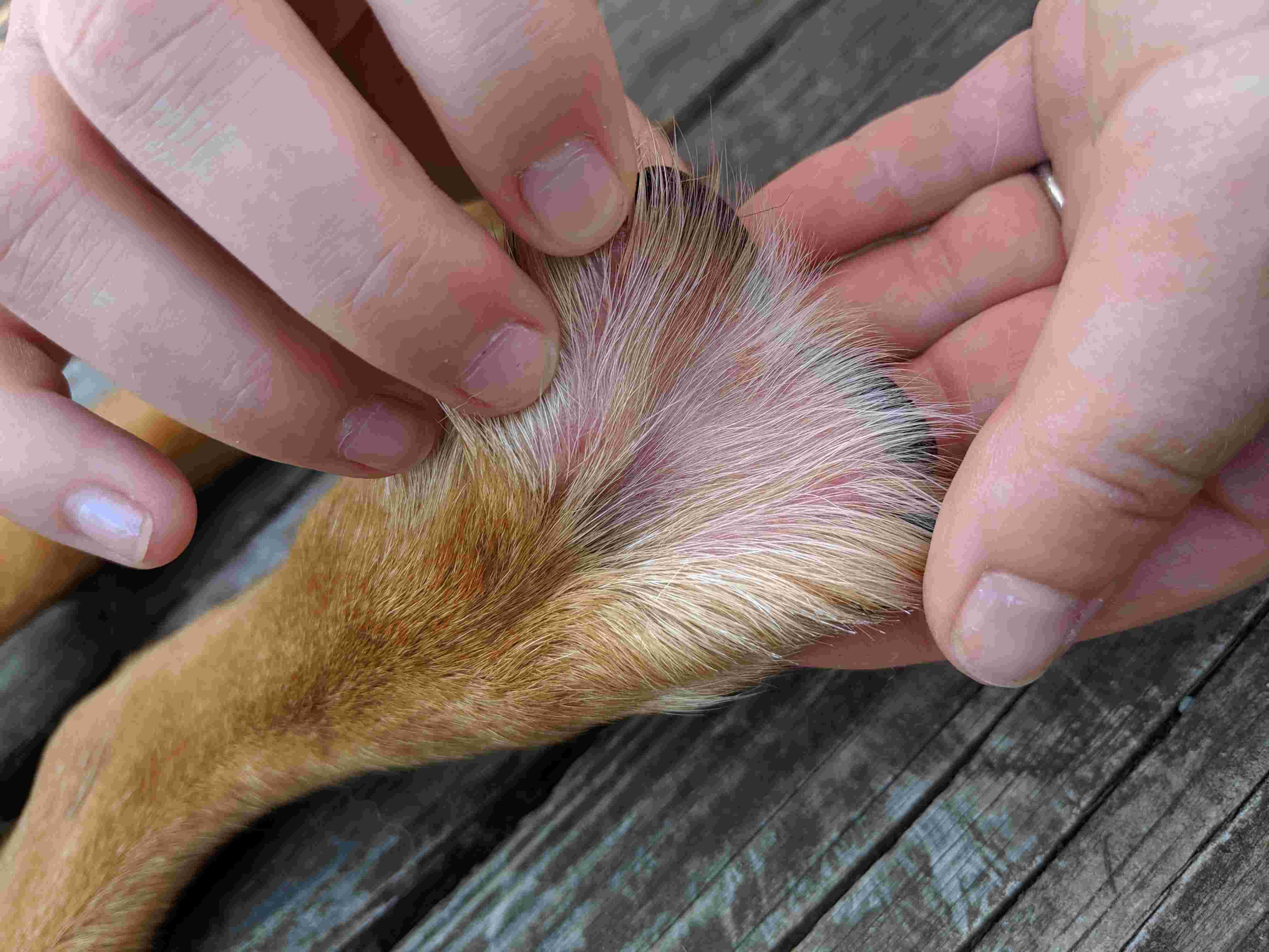 Question details sensitive content