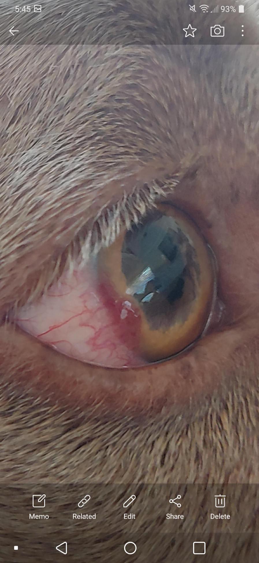 Question details sensitive content