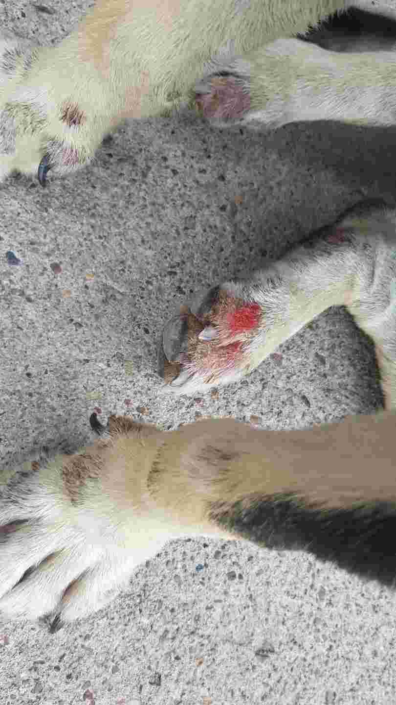 Question details sensitive content