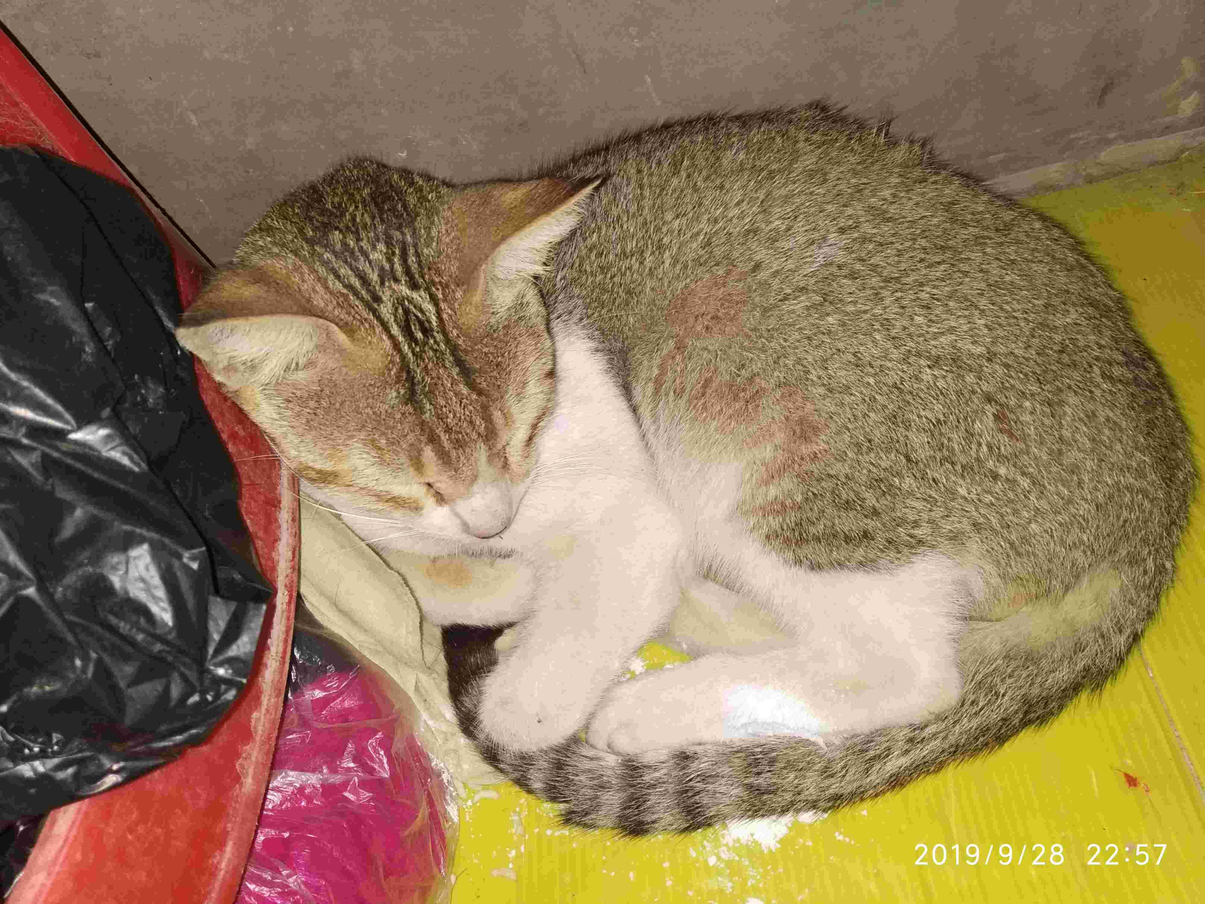 Question details sensitive content