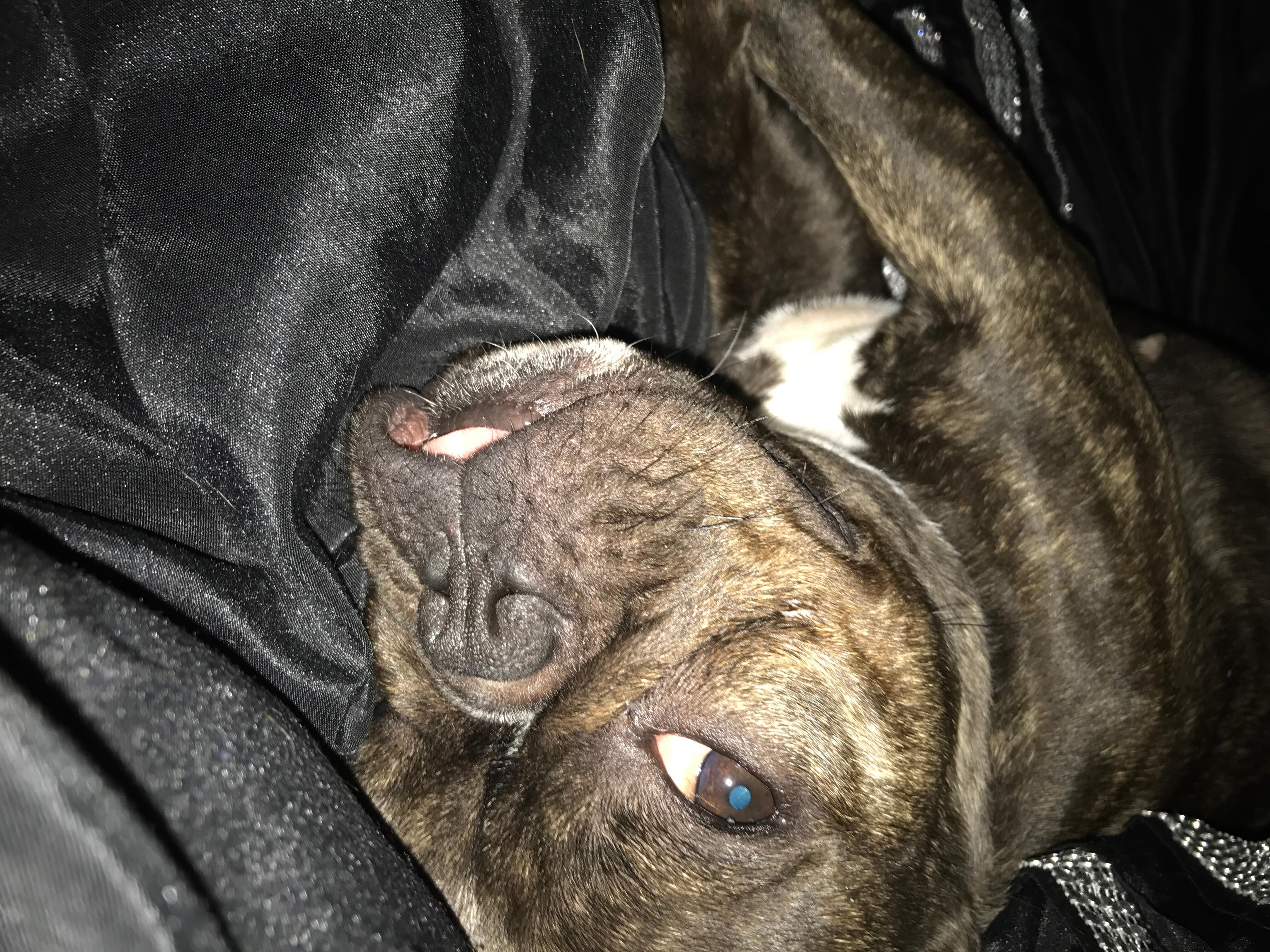 Question details sensitive content