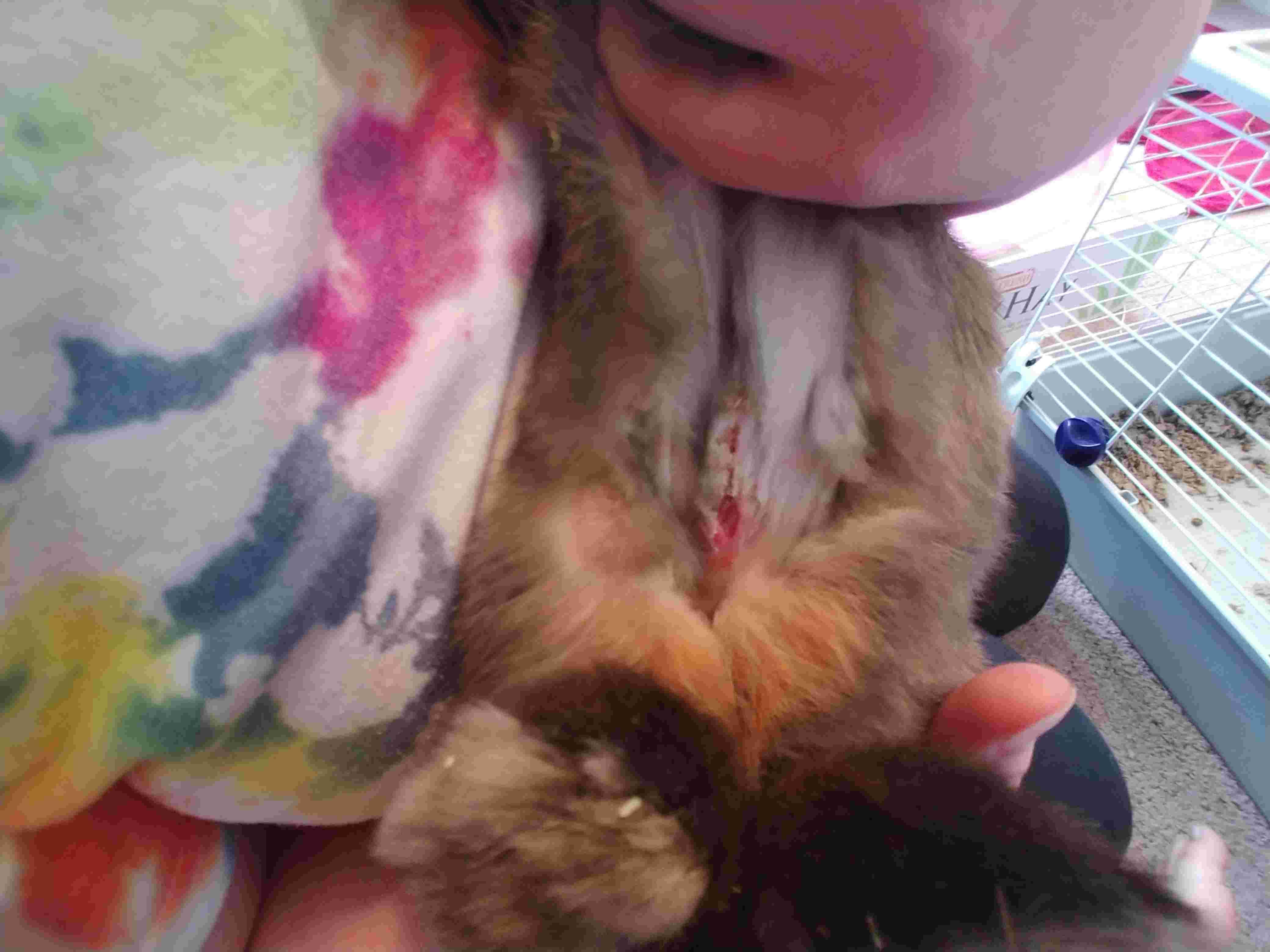 Question details sensitive content