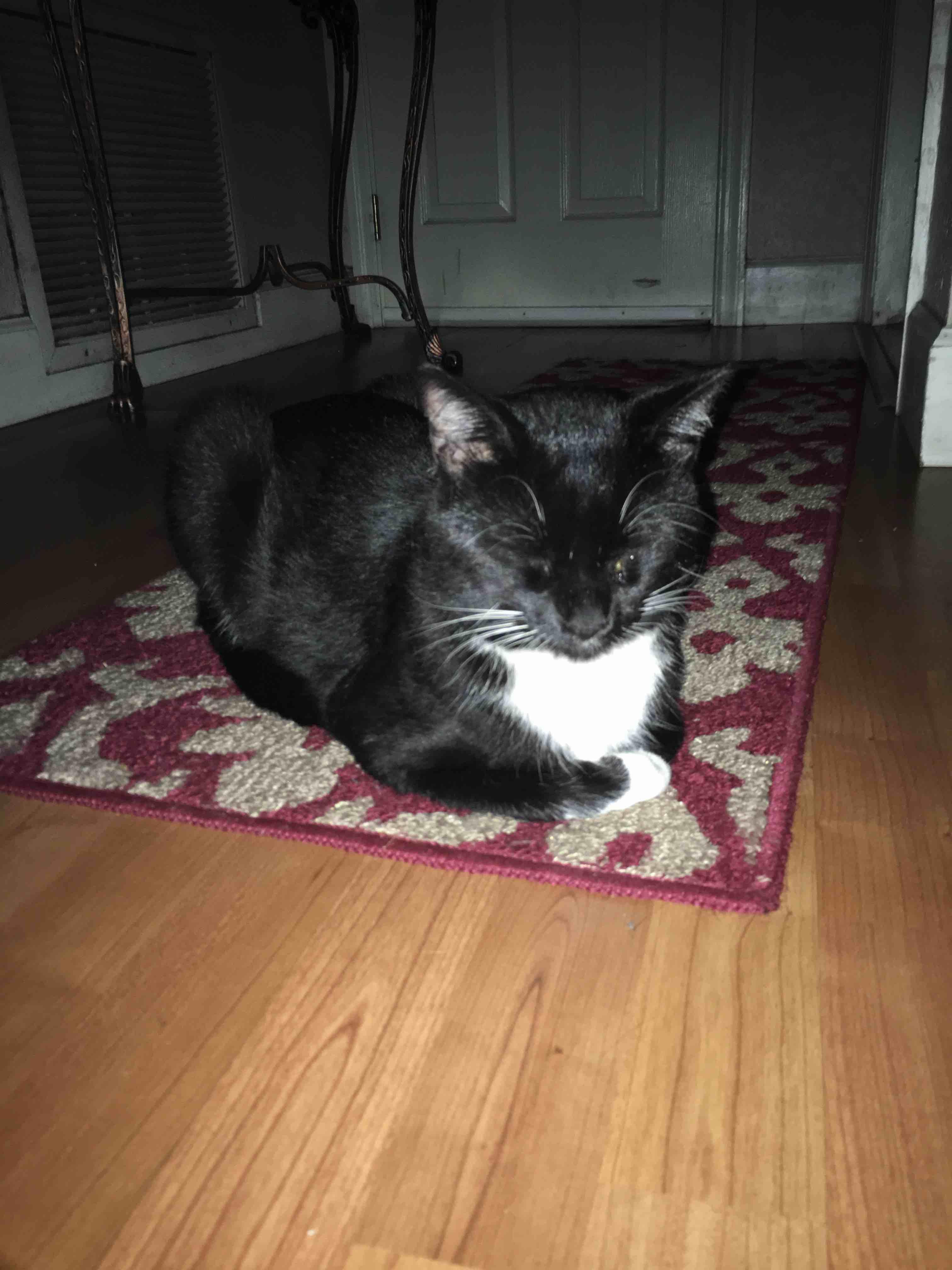 Question details sensitive content