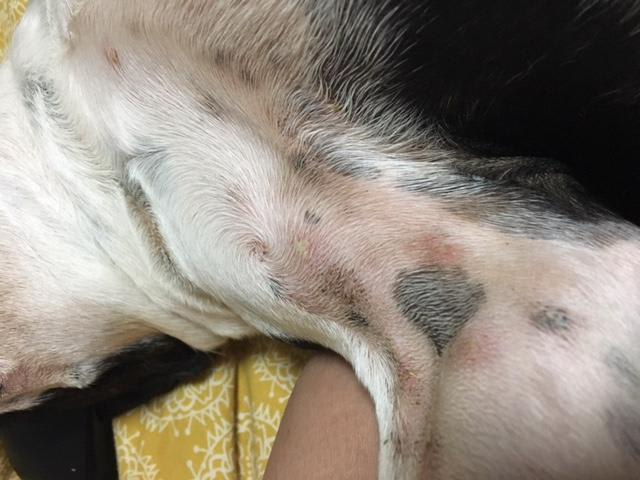 Question details sensitive content