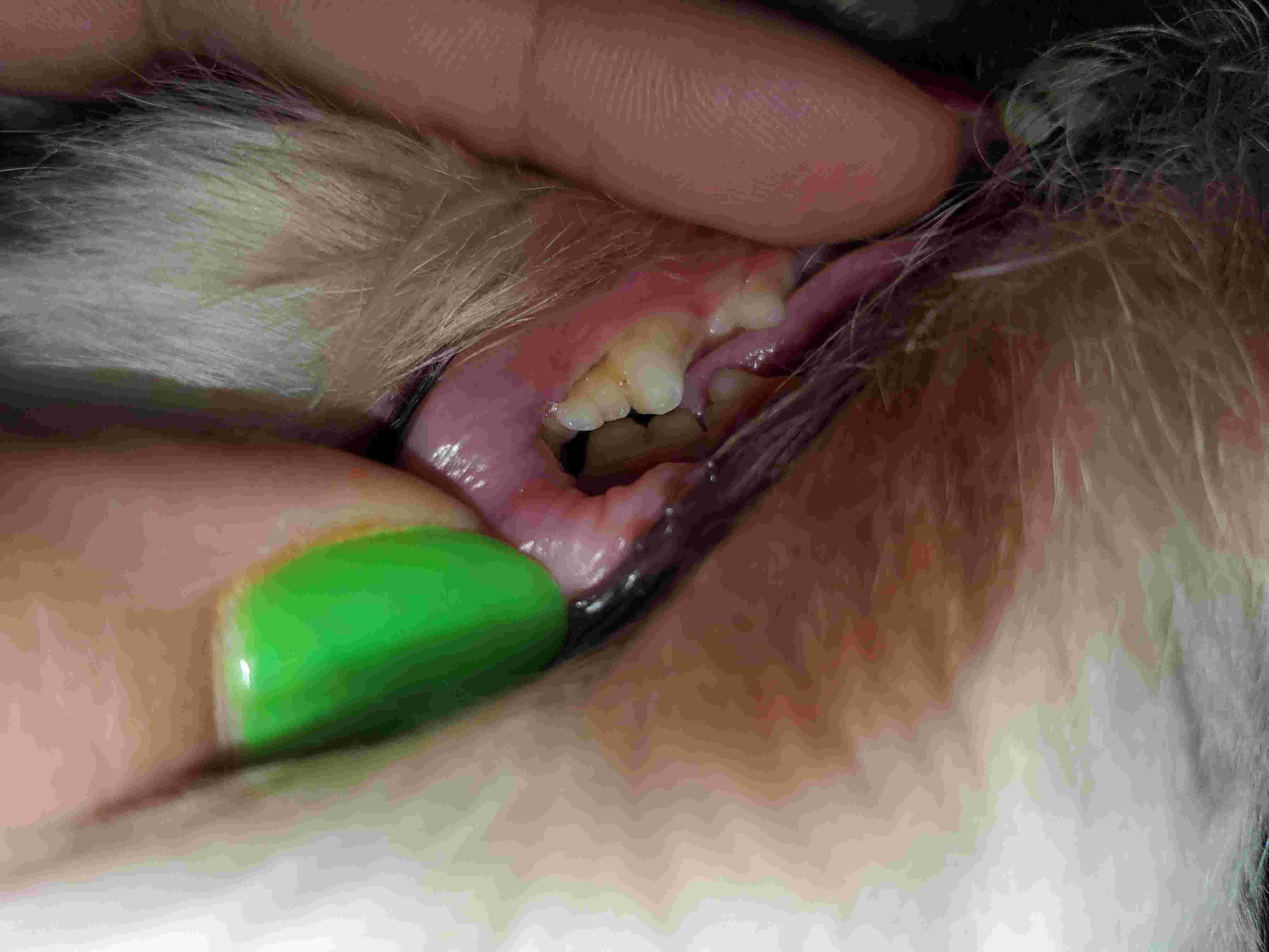 Question details sensitive content