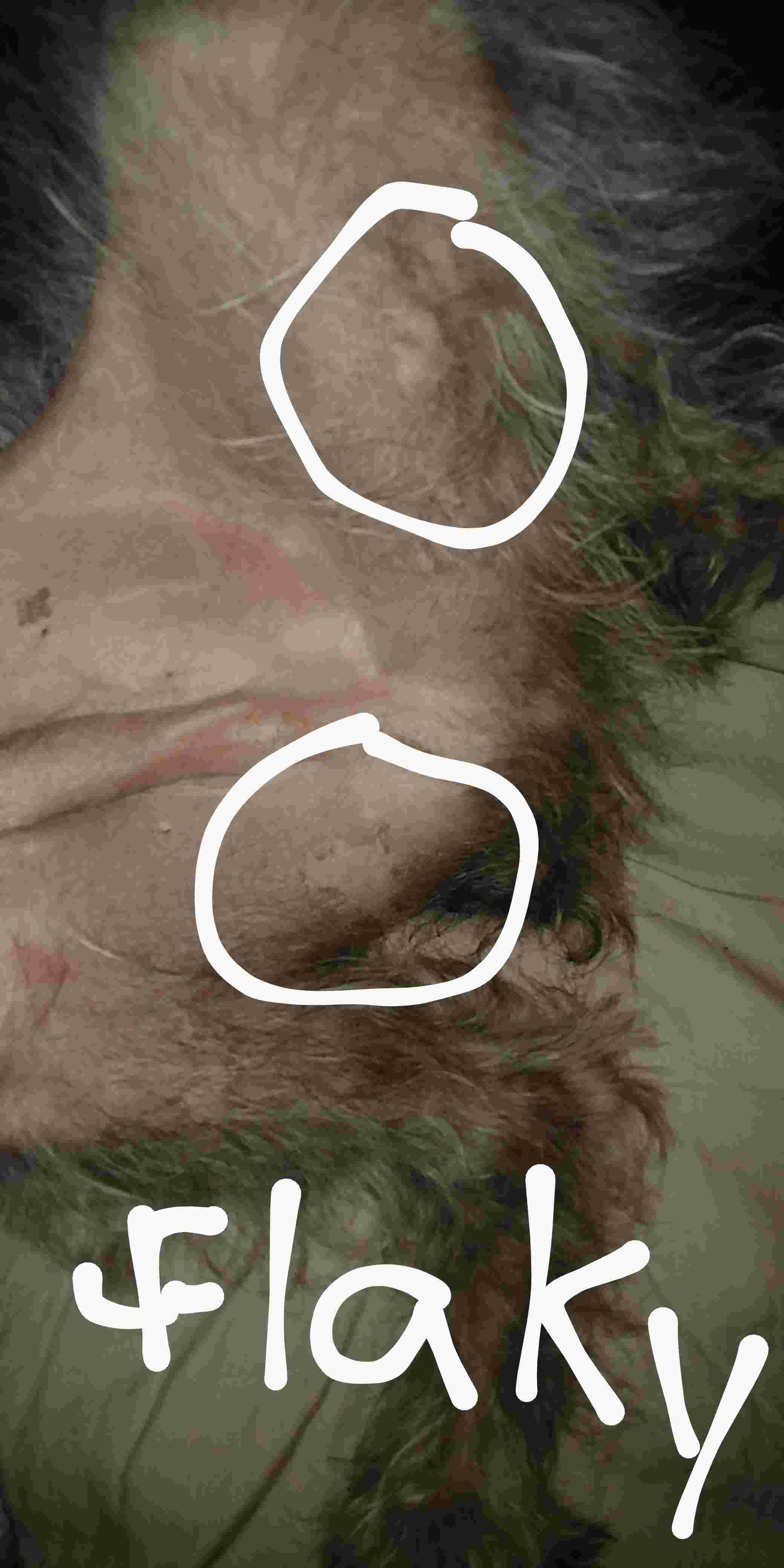 Question details sensitive content