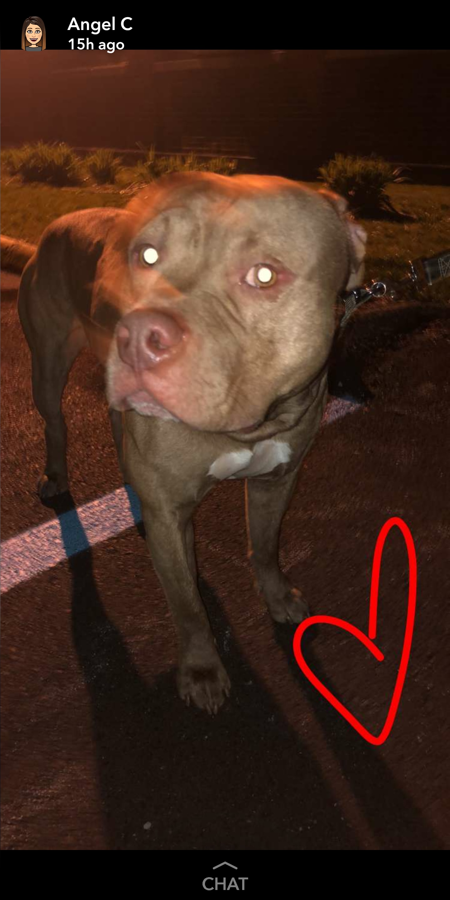 Question details sensitive content