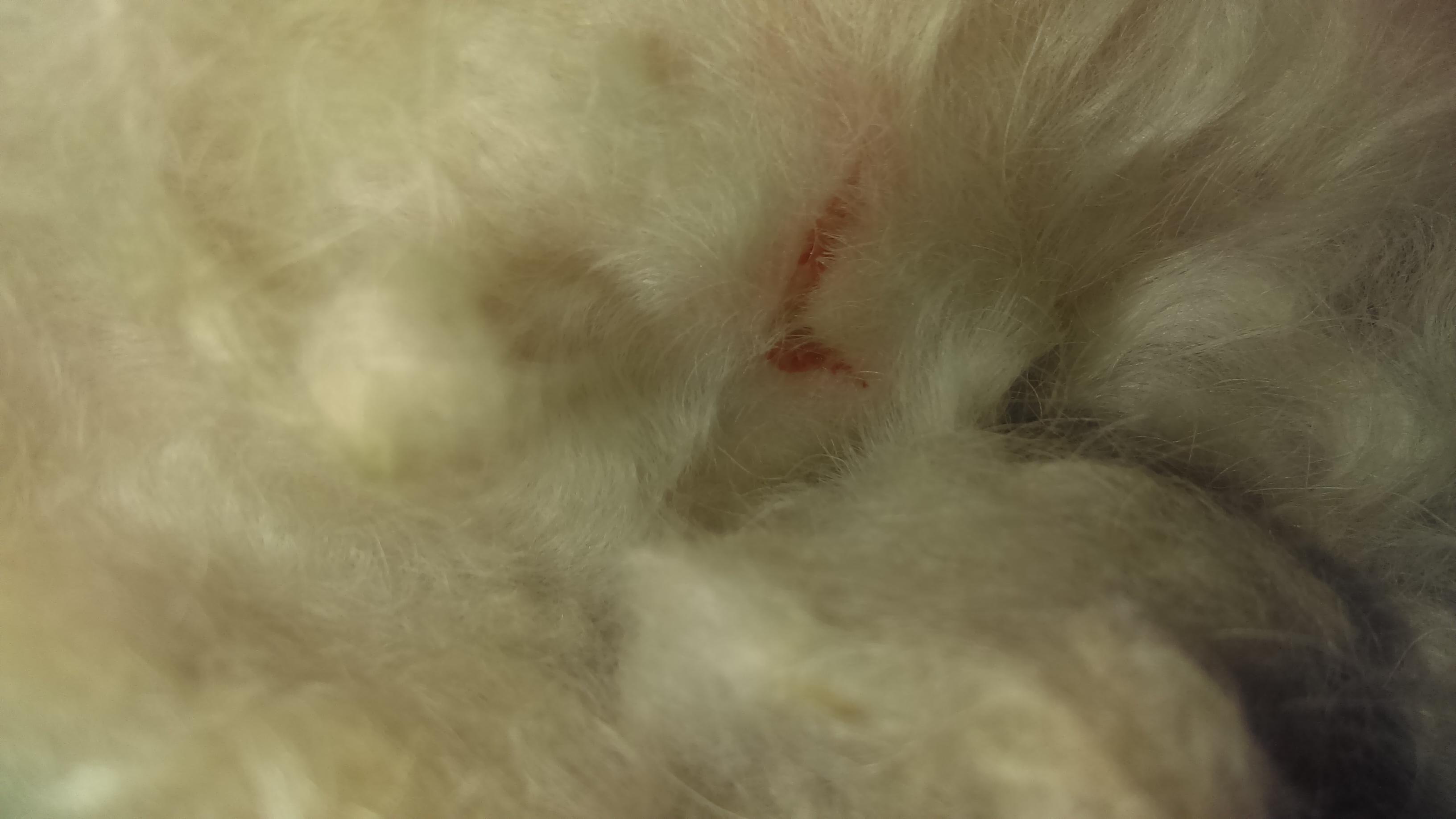 Question details sensitive content