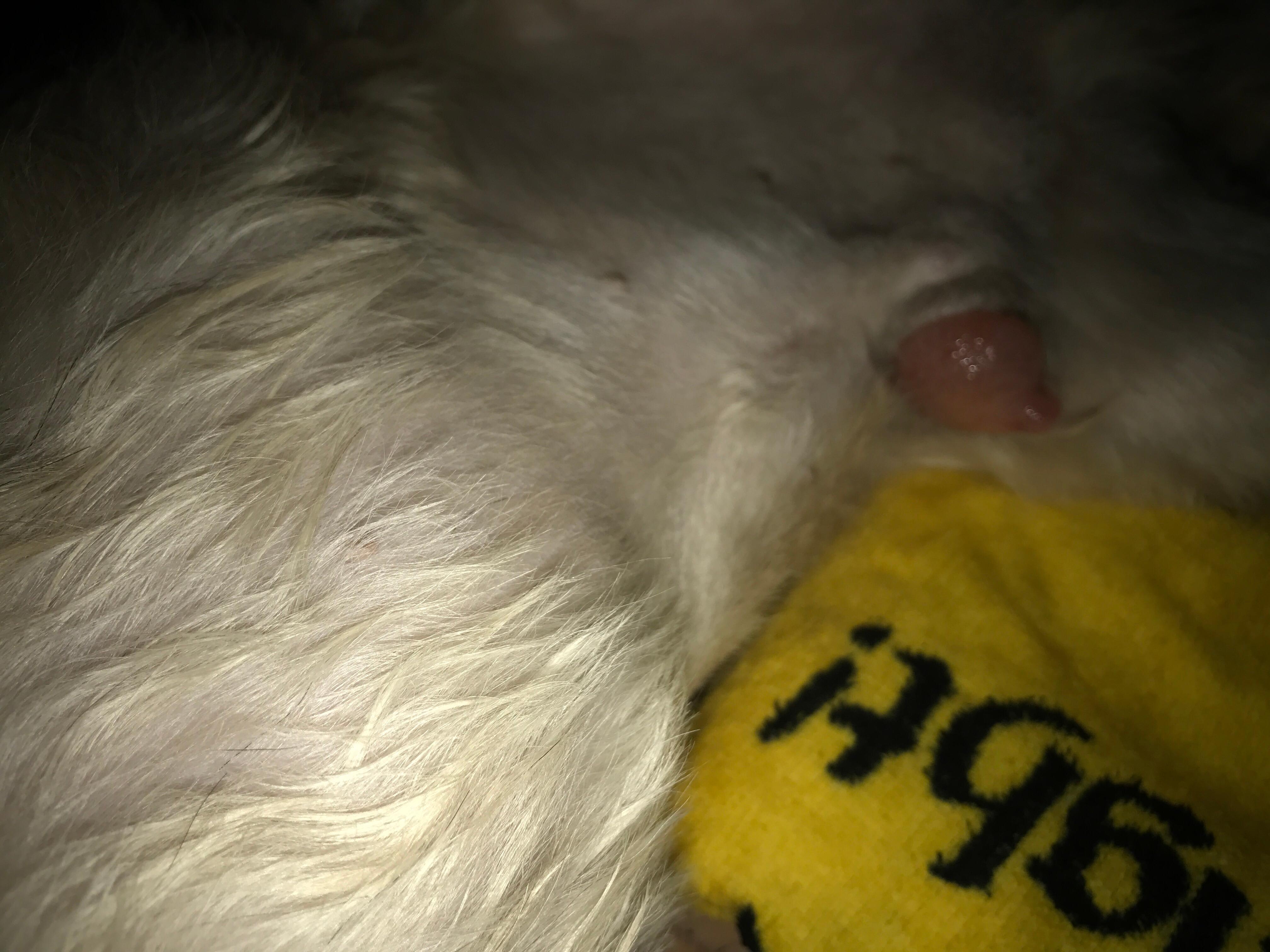 Question details sensitive content