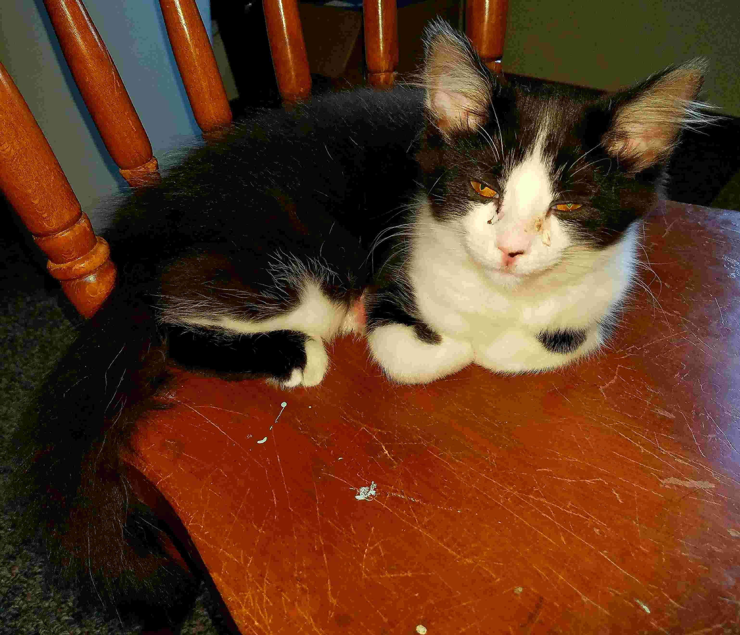 Question details sensitive content