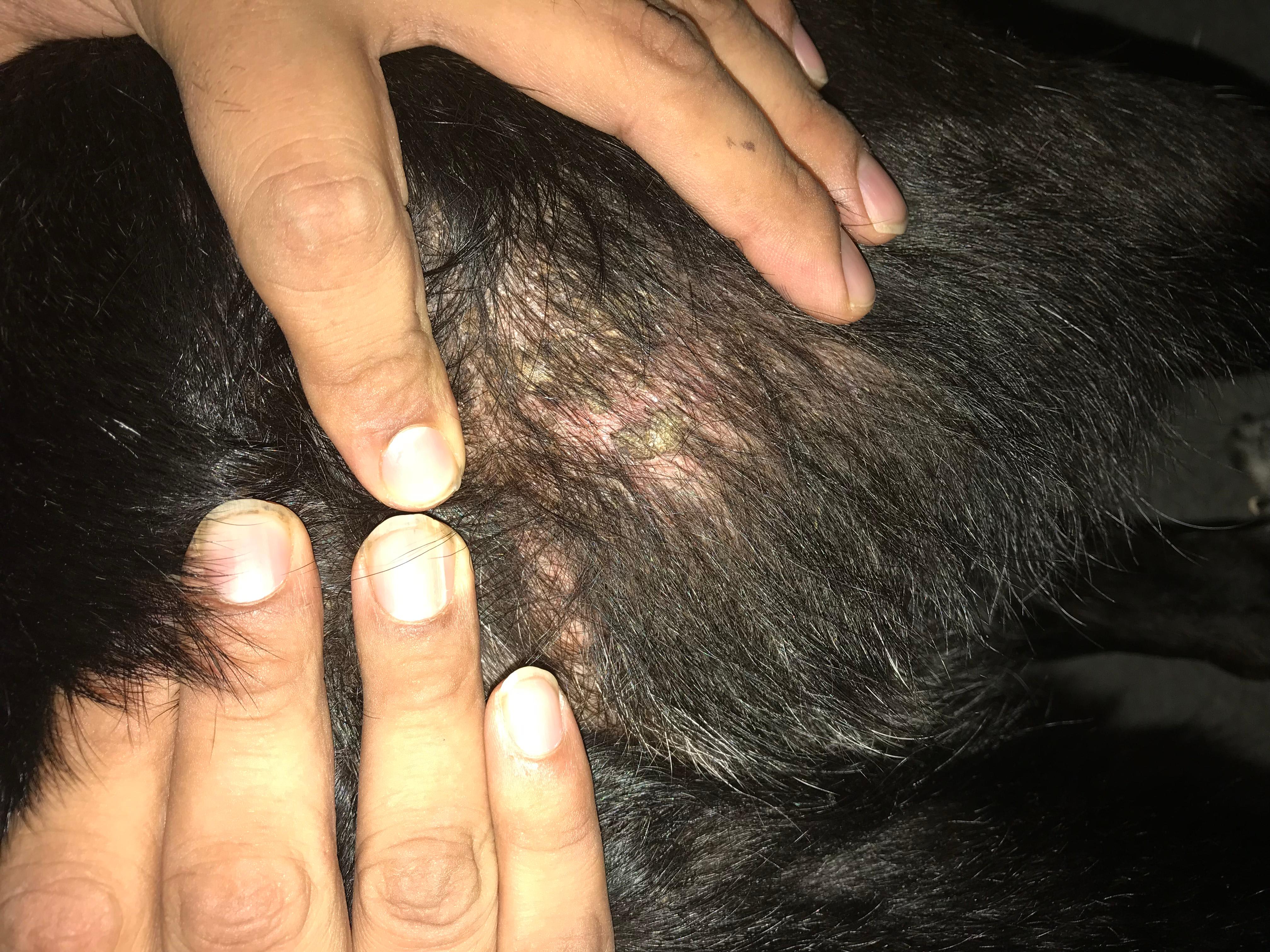 Question details sensitive content