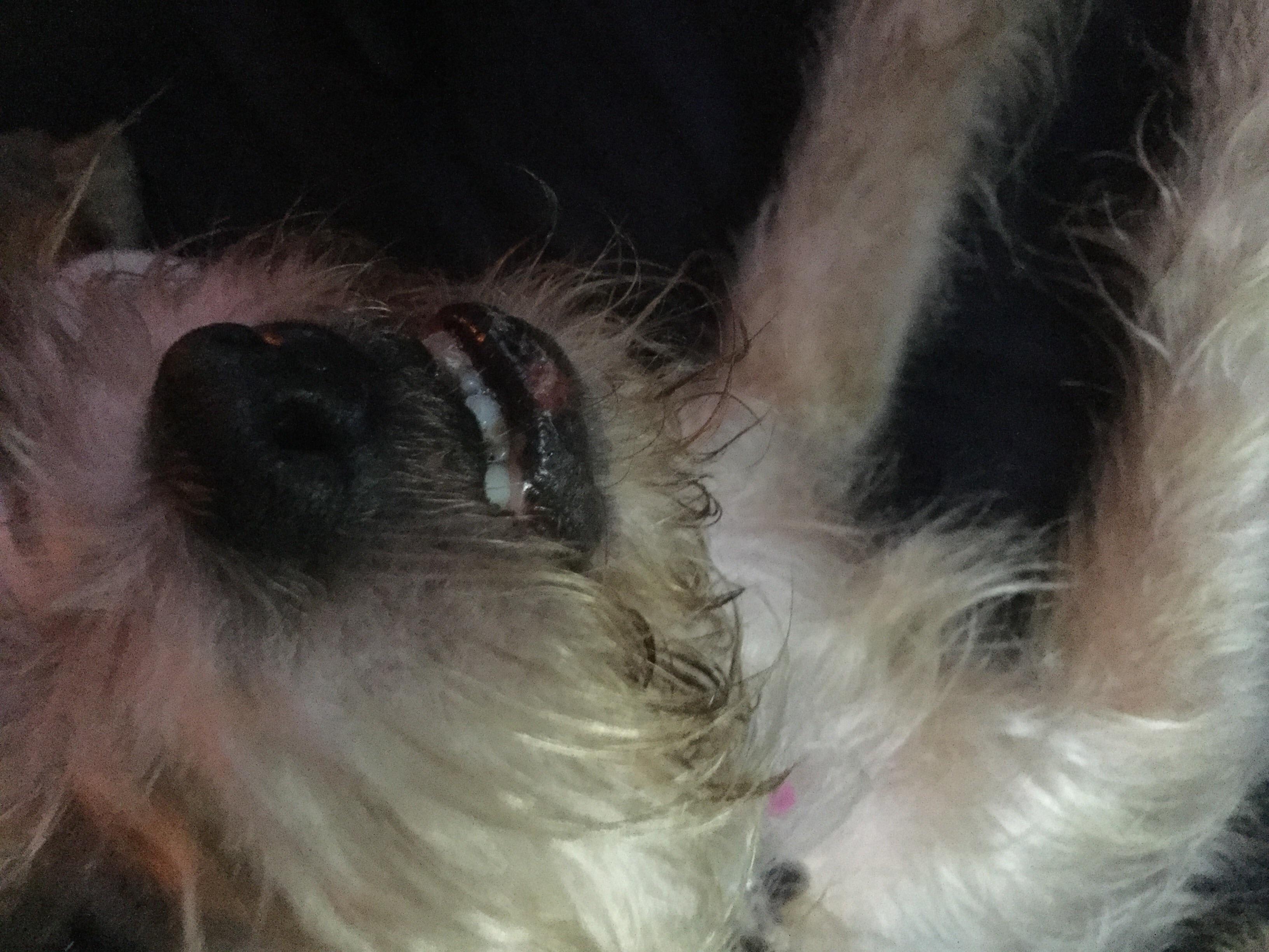 Question details sensitive content