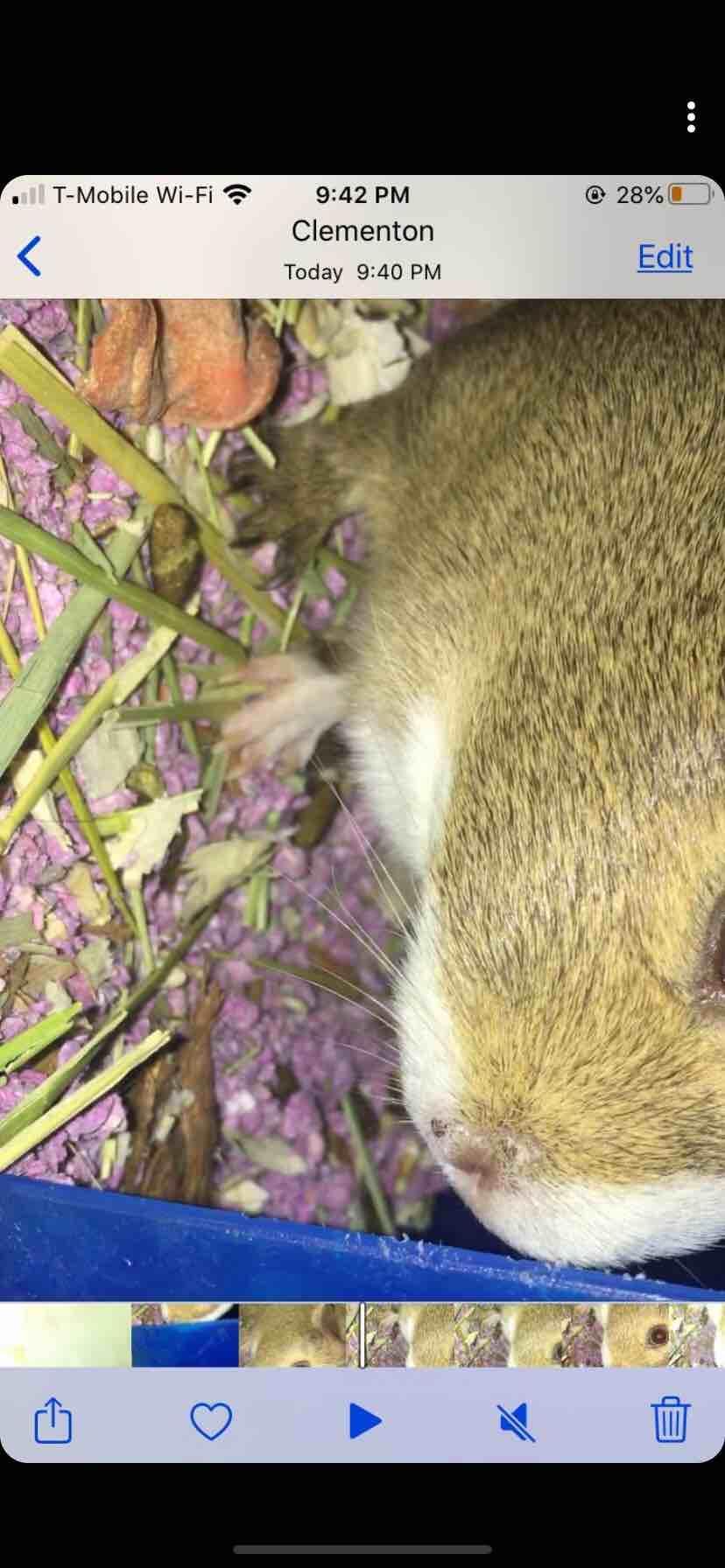 Question details sensitive content