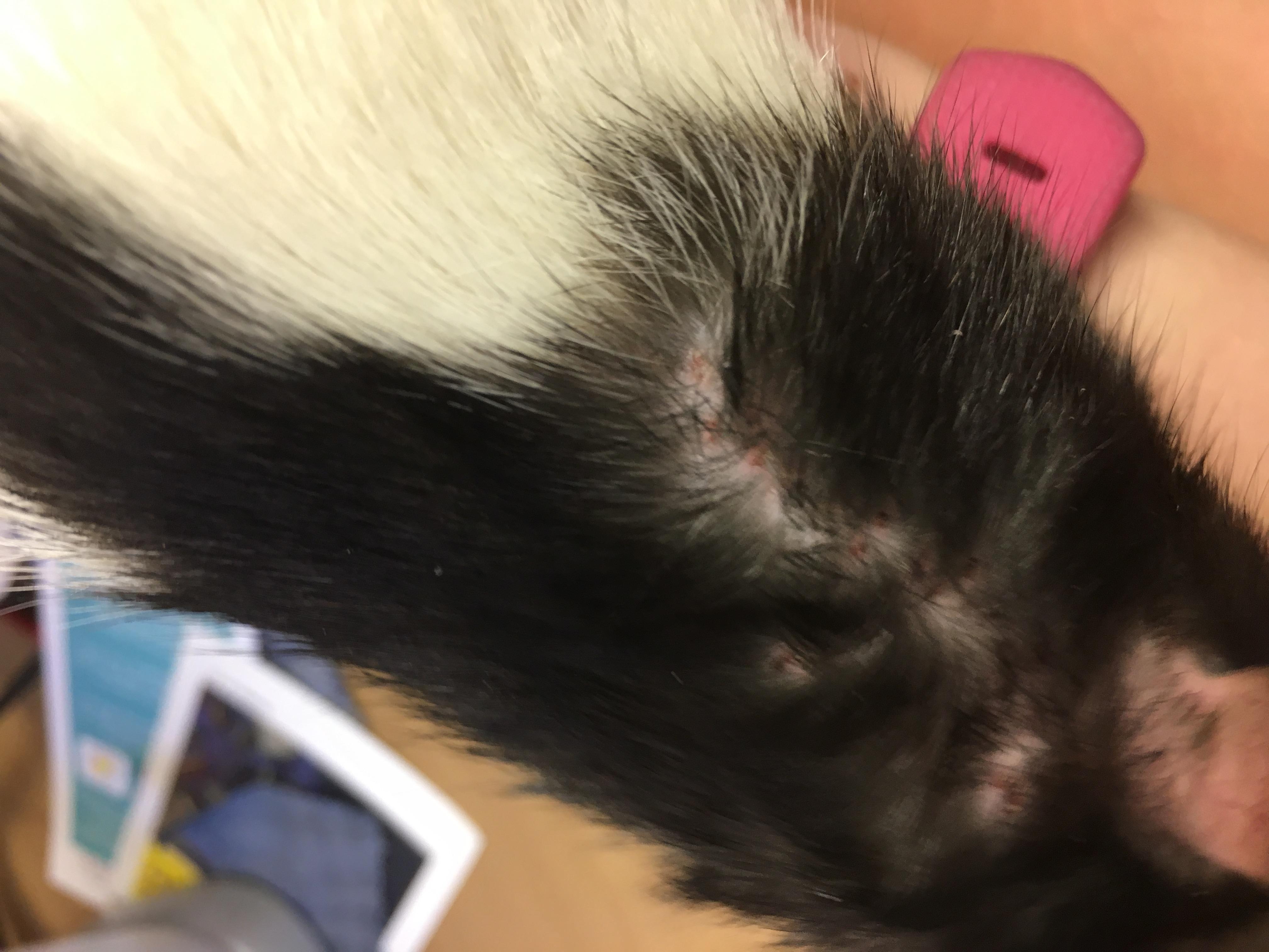 Question details sensitive content