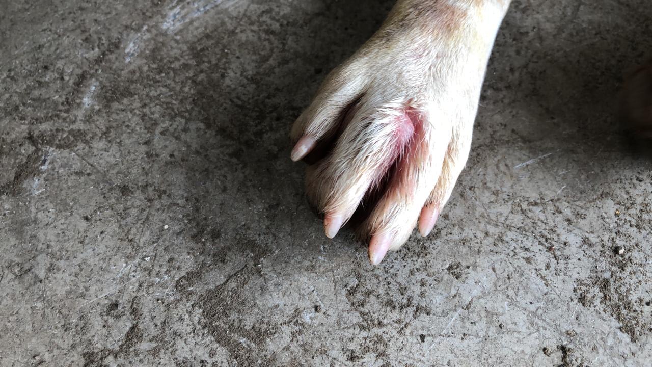 Question details sensitive content