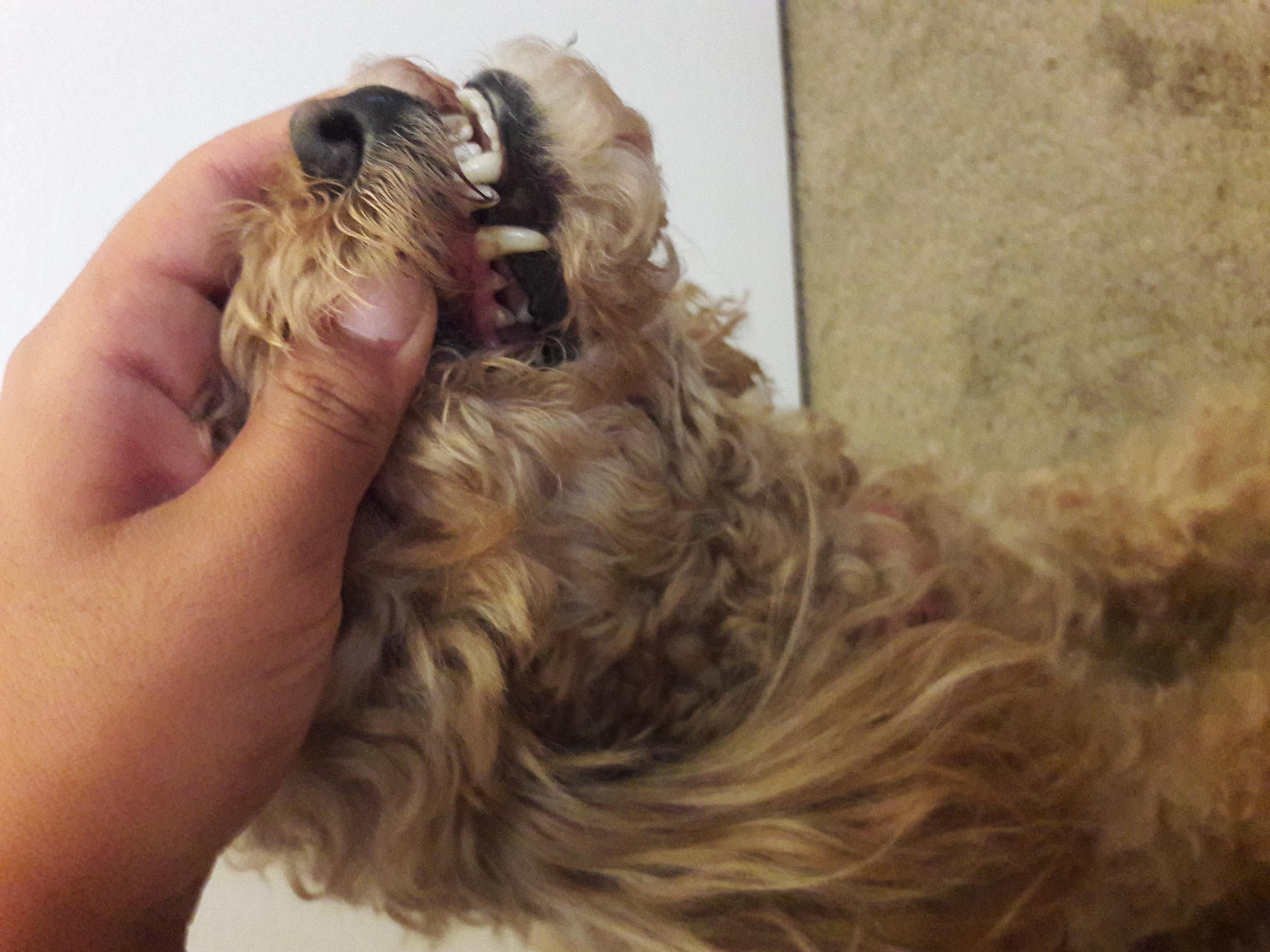 Question details sensitive content