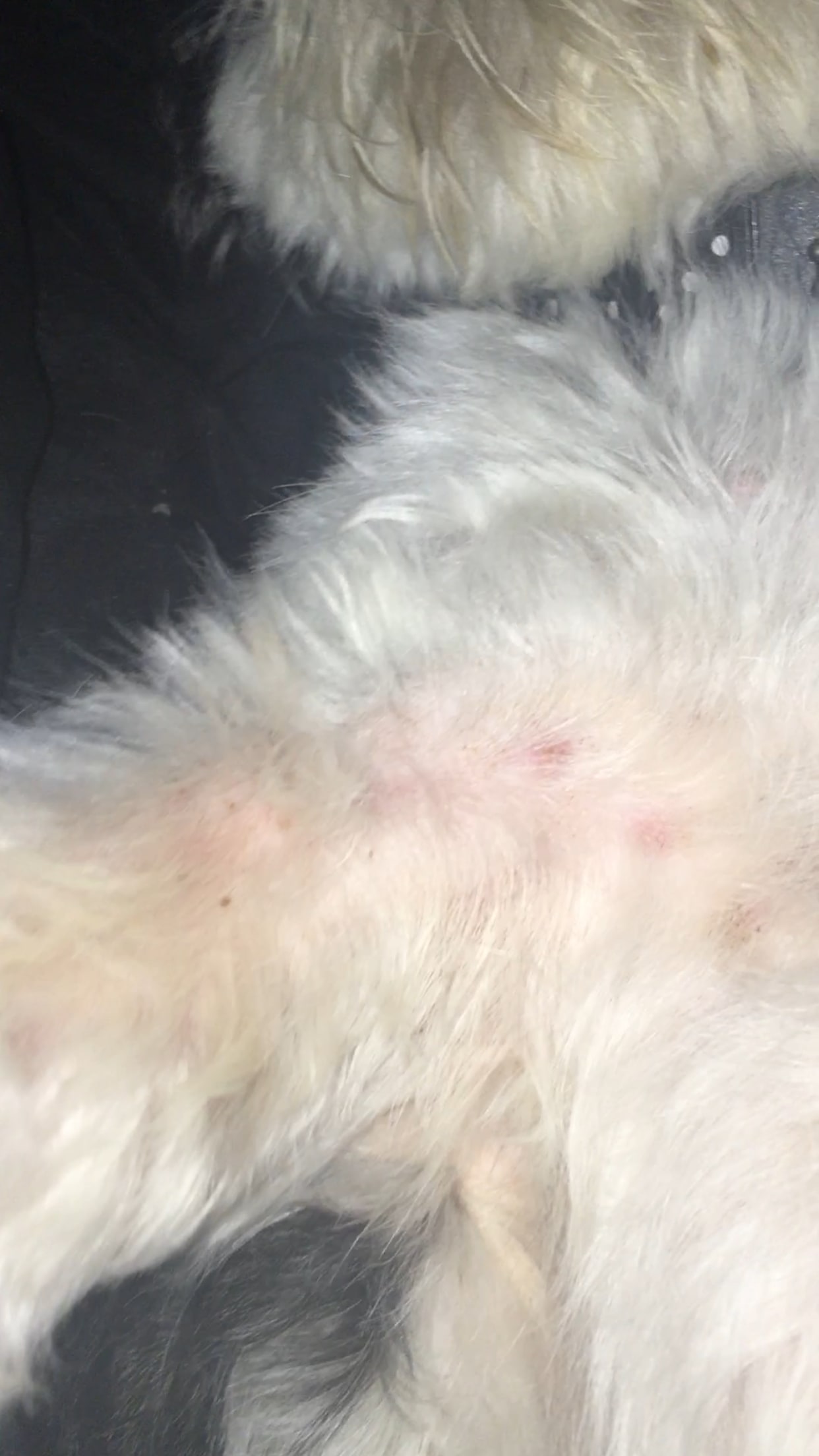 Question details sensitive content