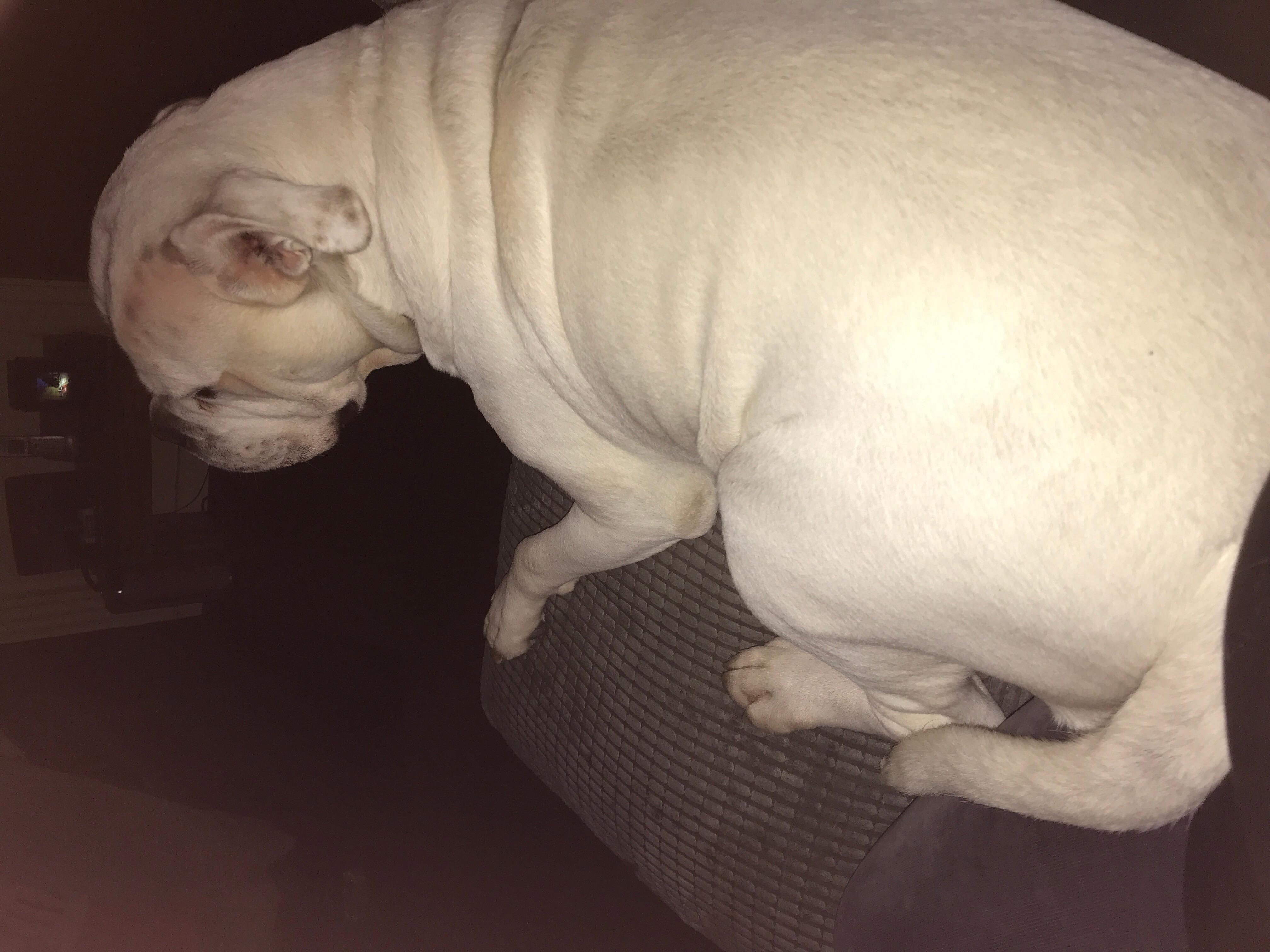 Question details sensitive content