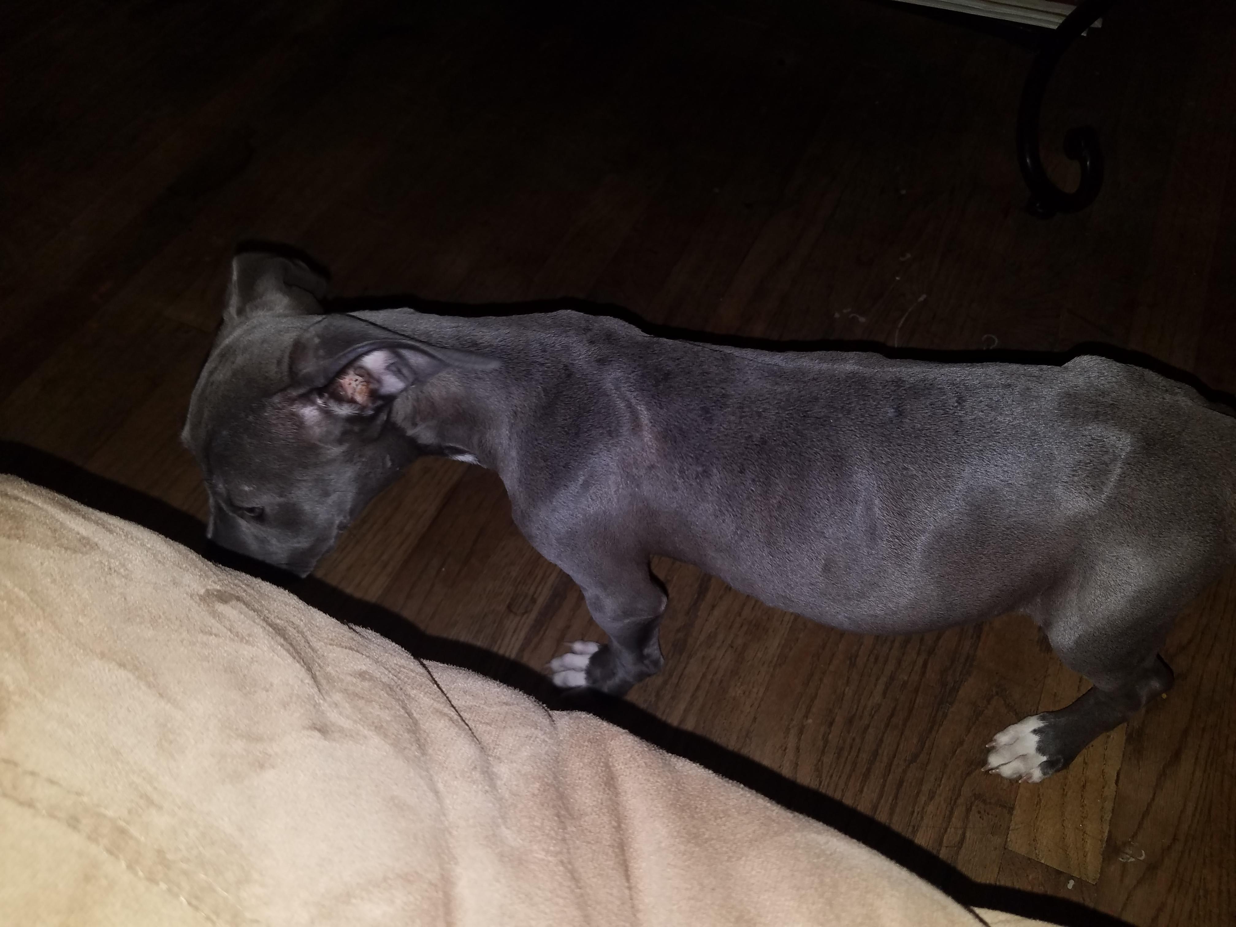 Question details sensitive content