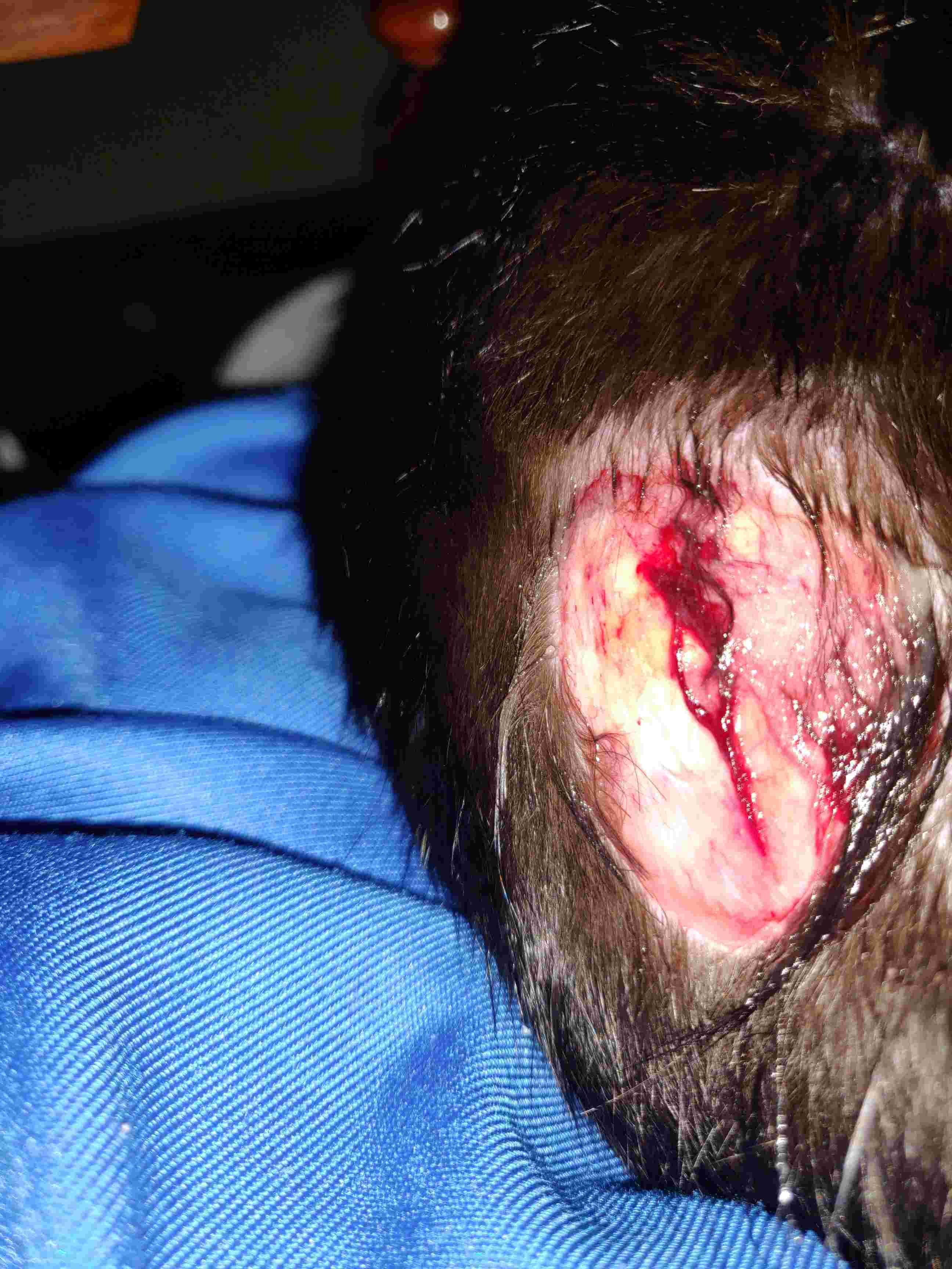 Question details sensitive content