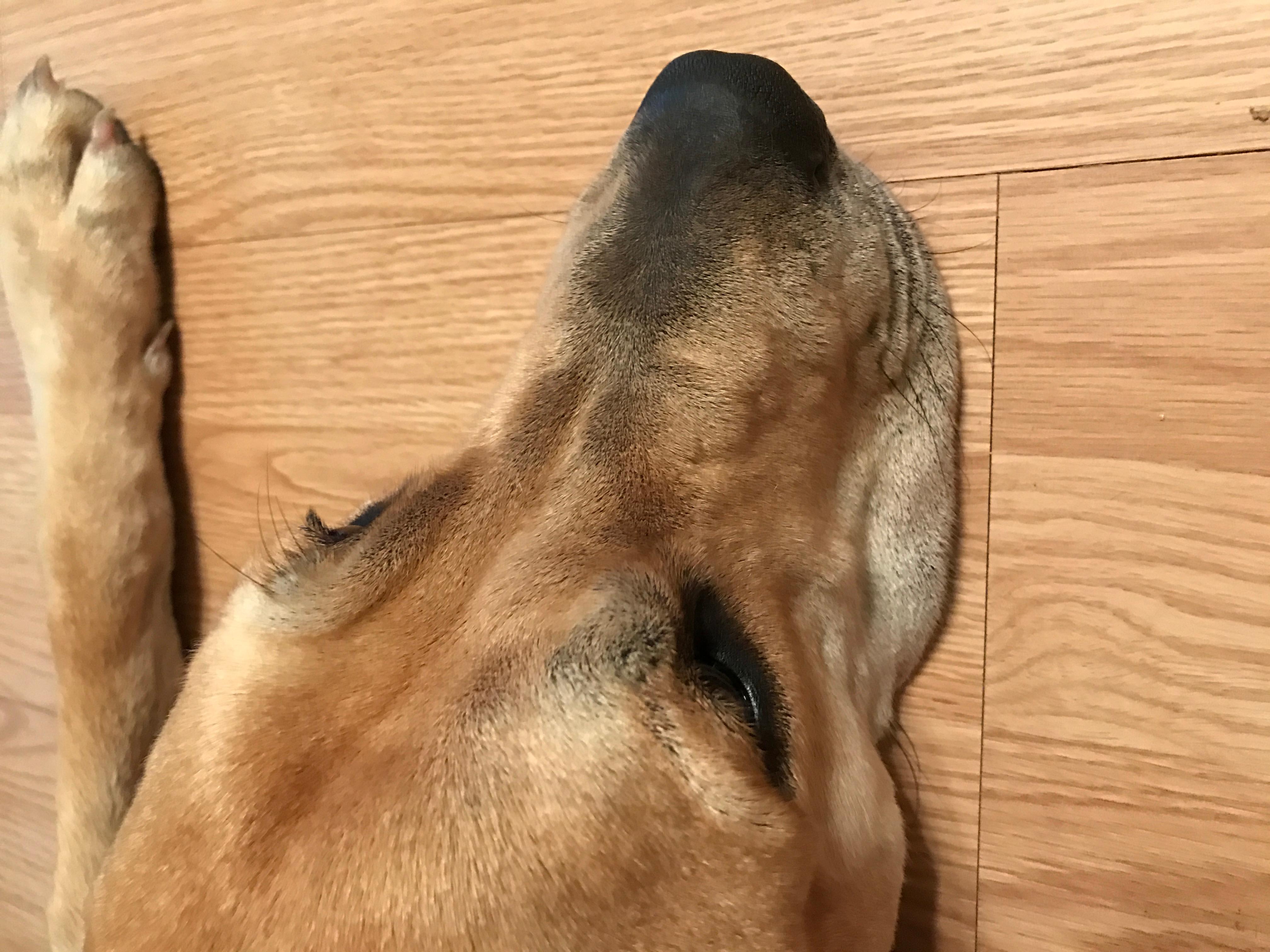 Question details sensitive content