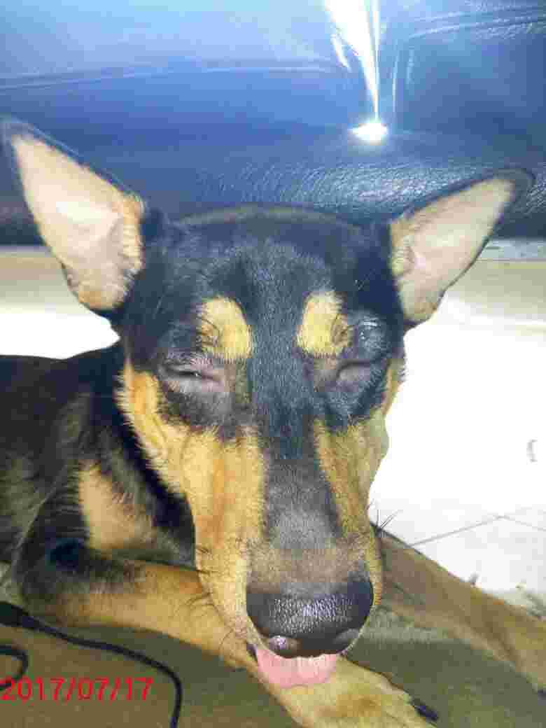 Question details sensitive content