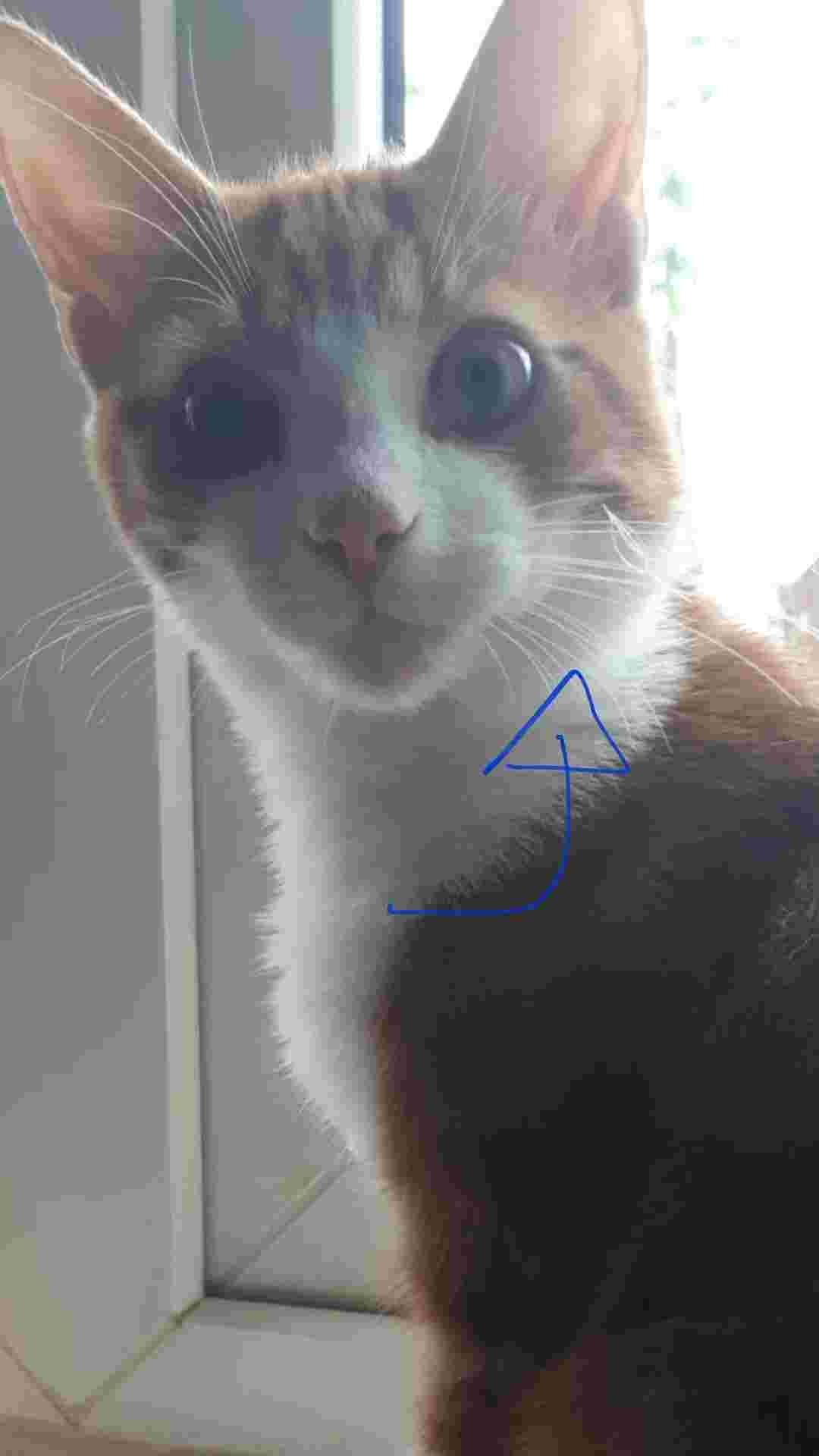 Question details sensitive content