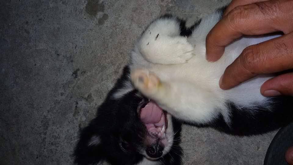 Question details sensitive content