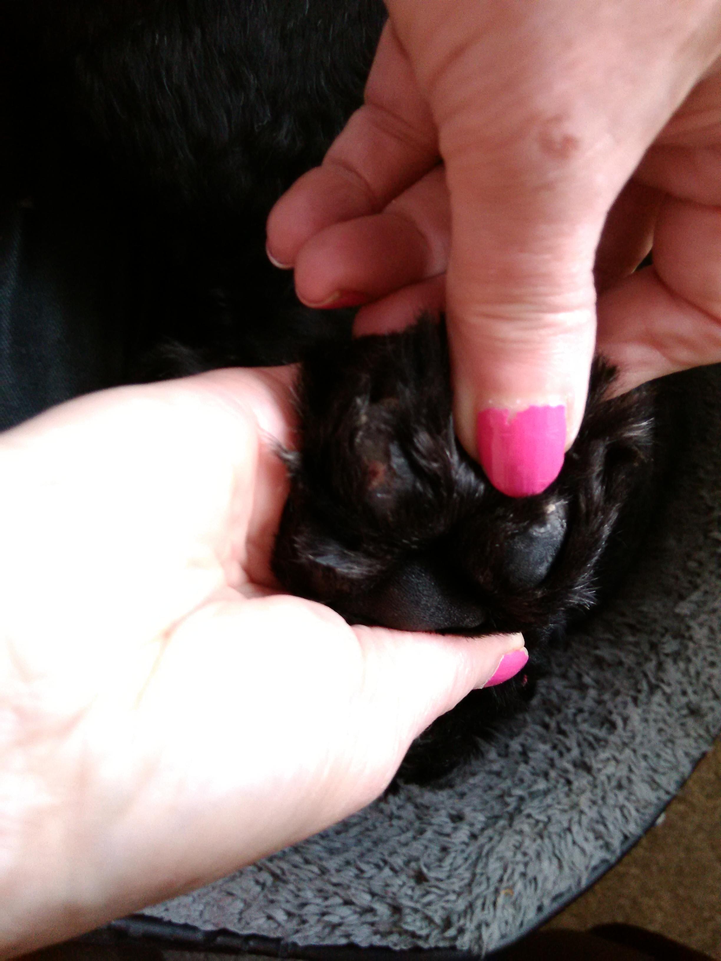 Question details sensitive content