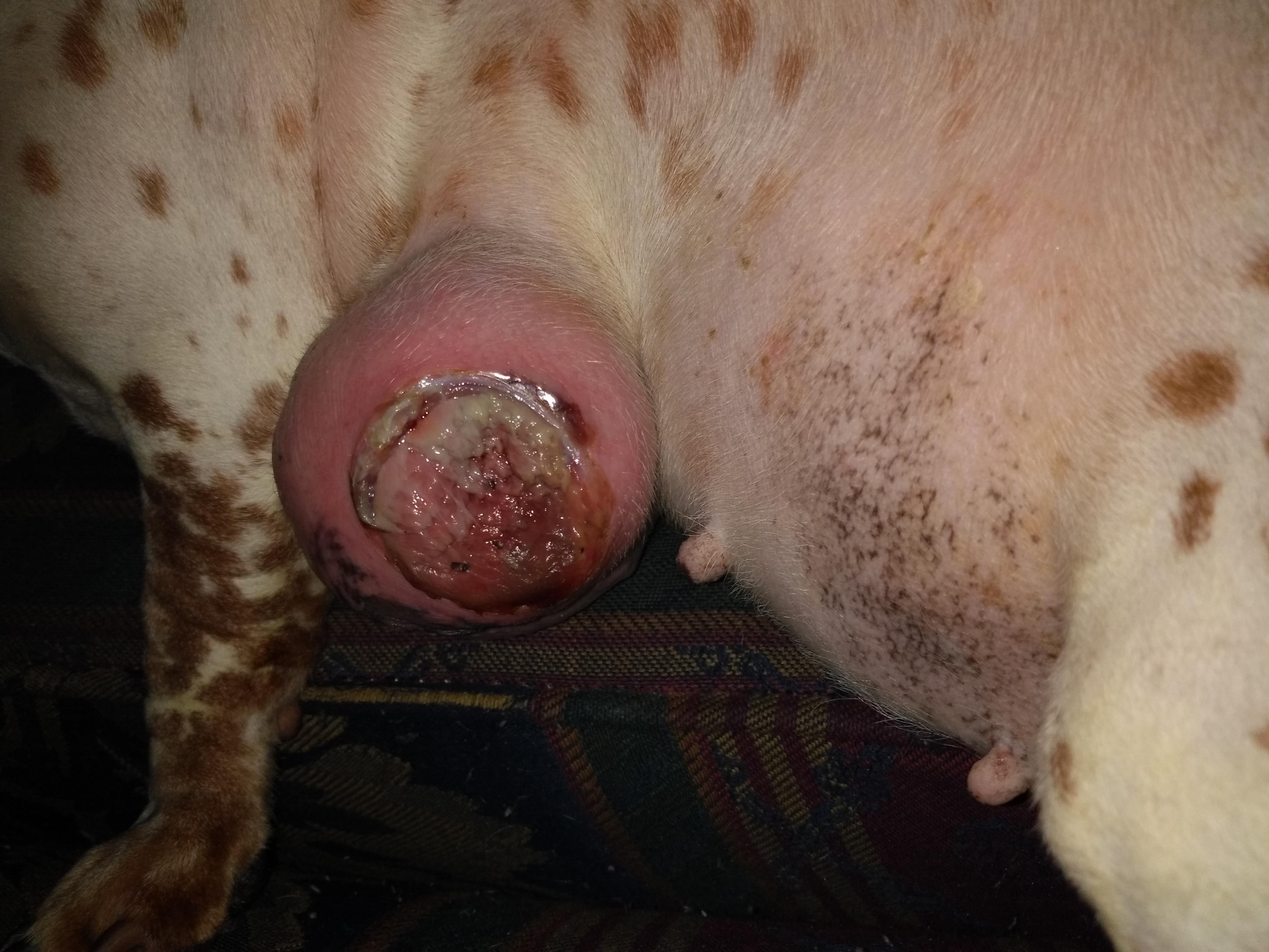 Question details sensitive content