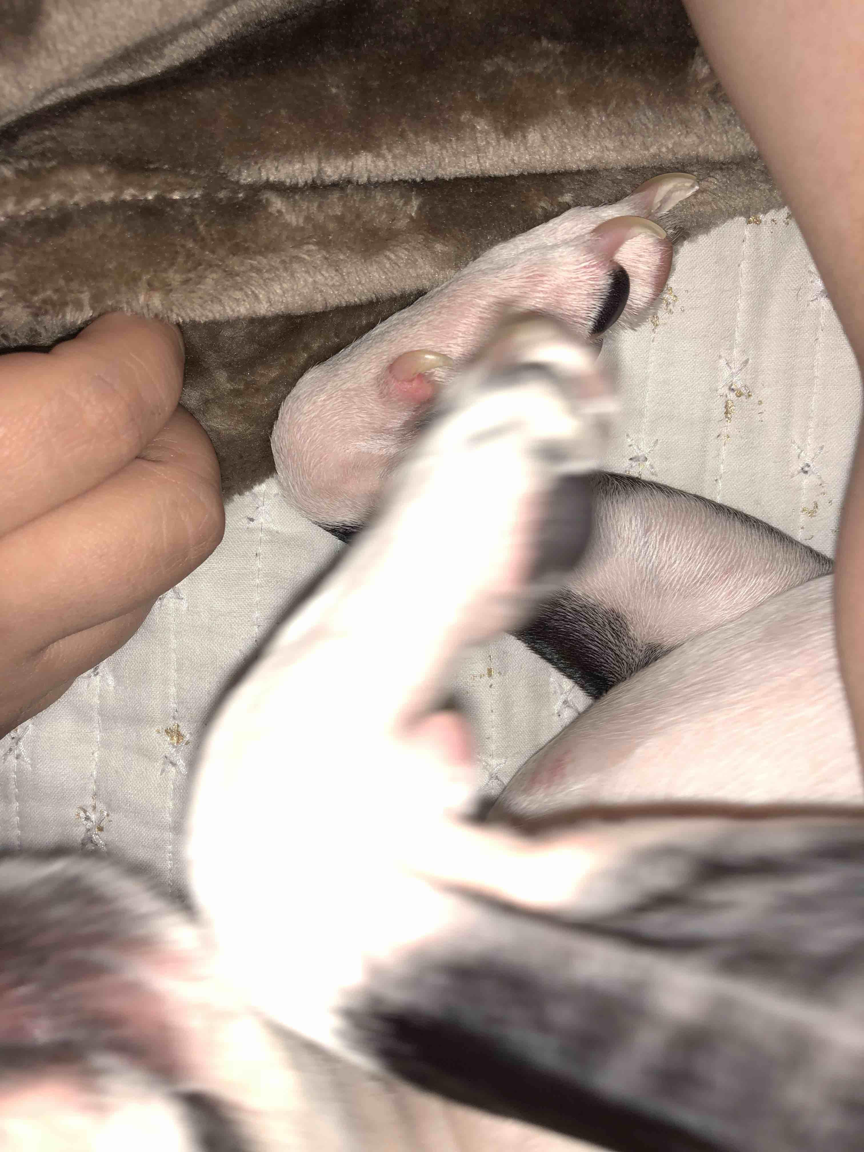 Question details sensitive content