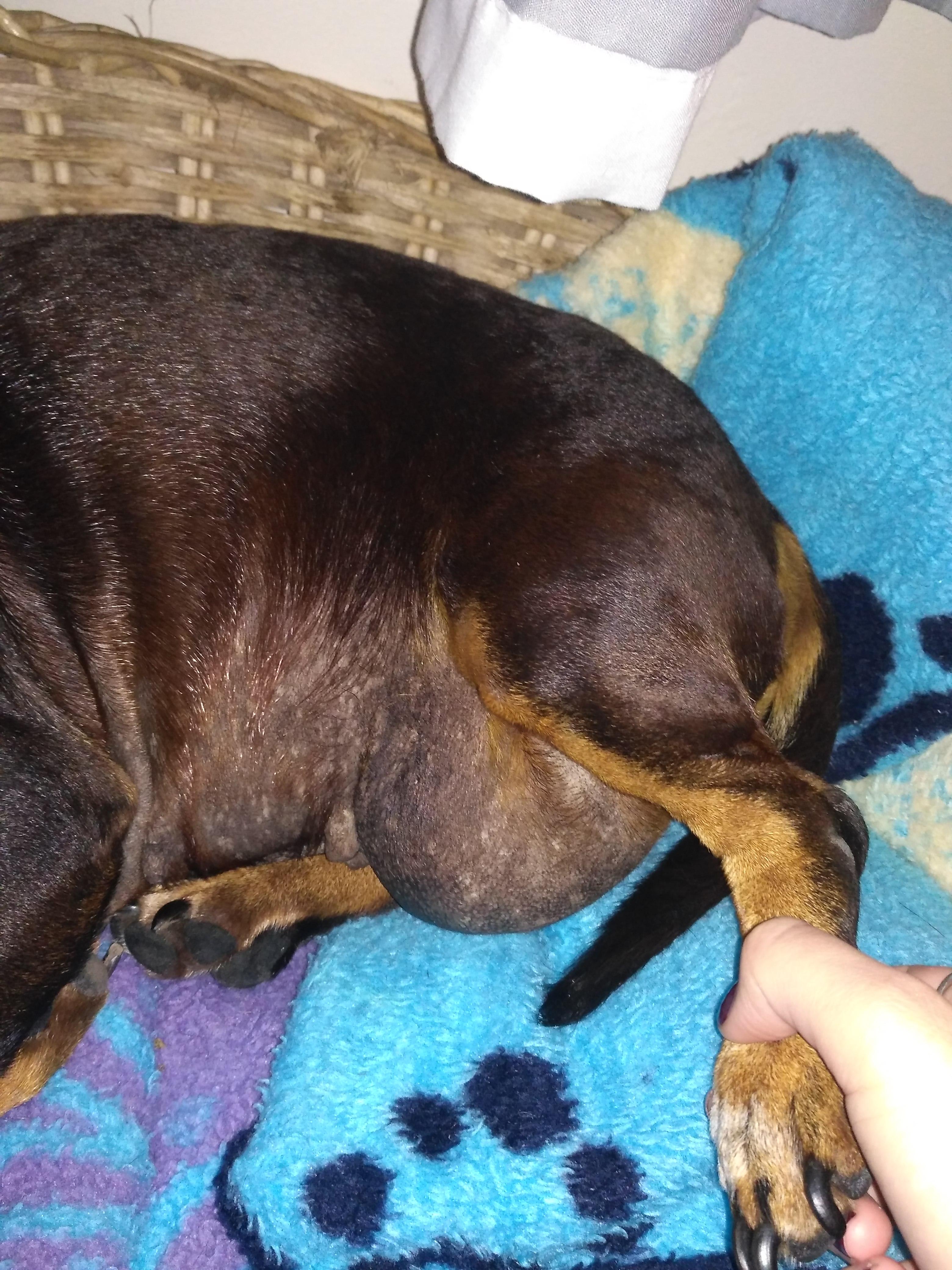 Question details sensitive content