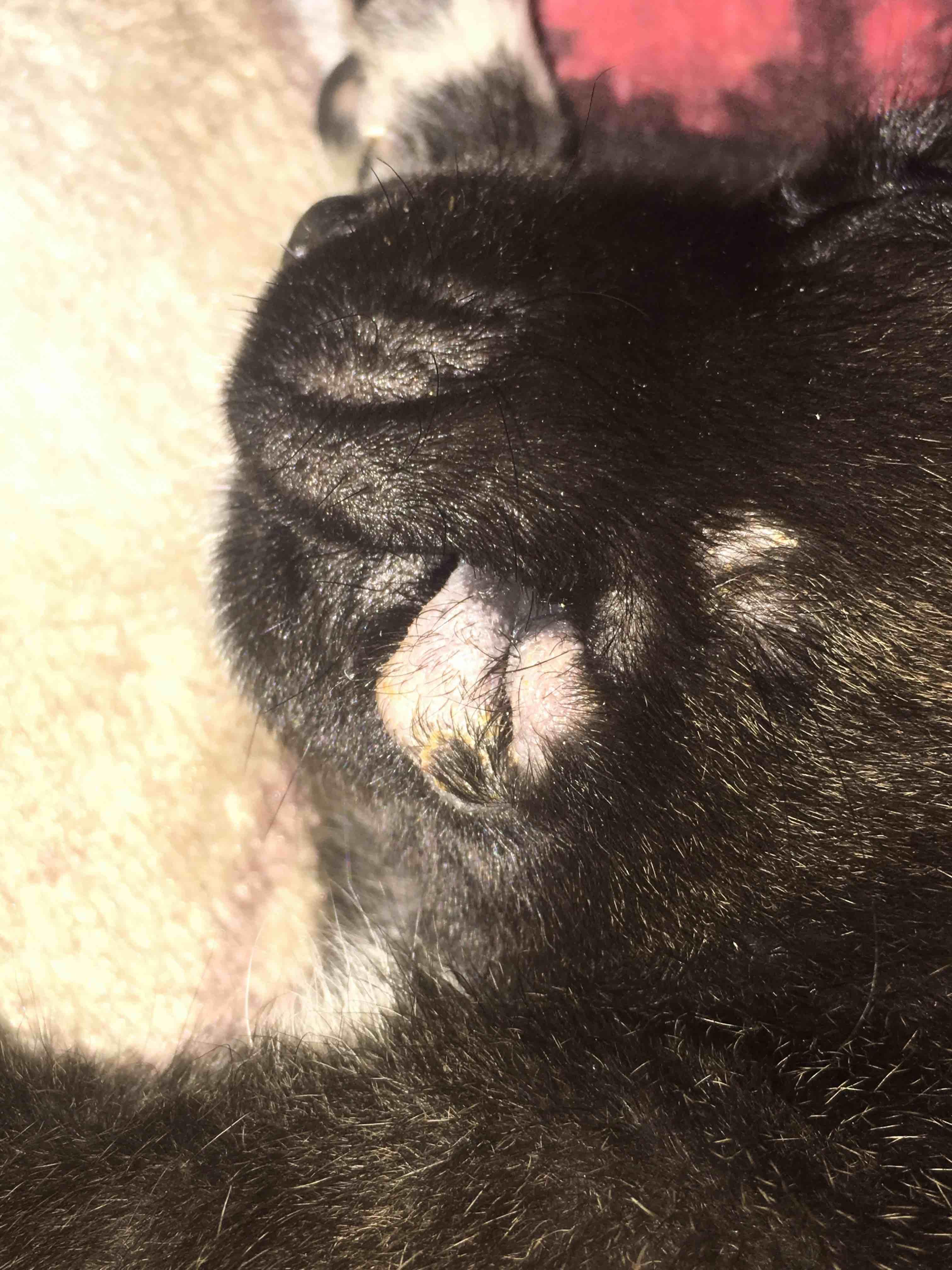 Question details sensitive content