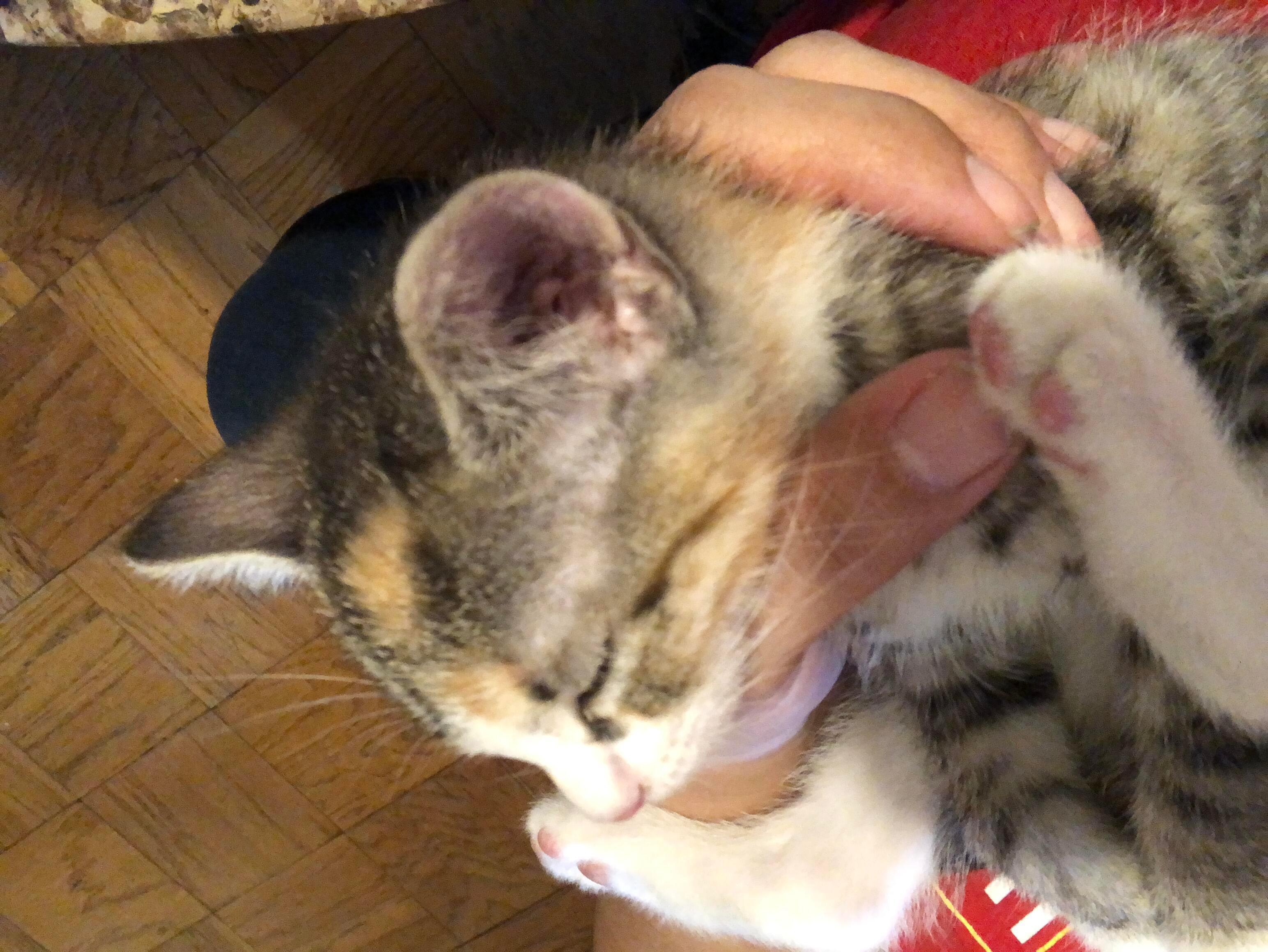 Question details sensitive content