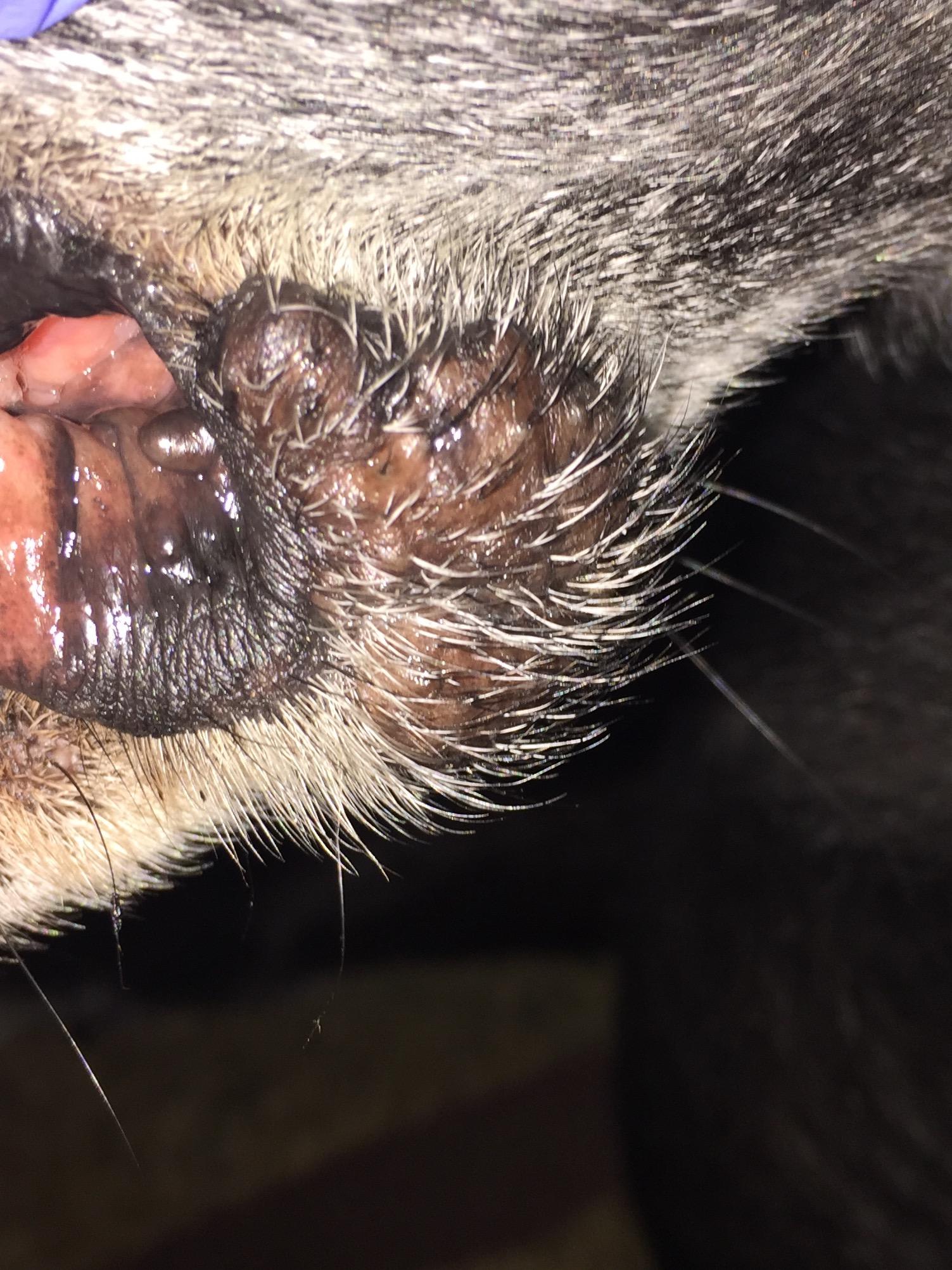 Question details sensitive content