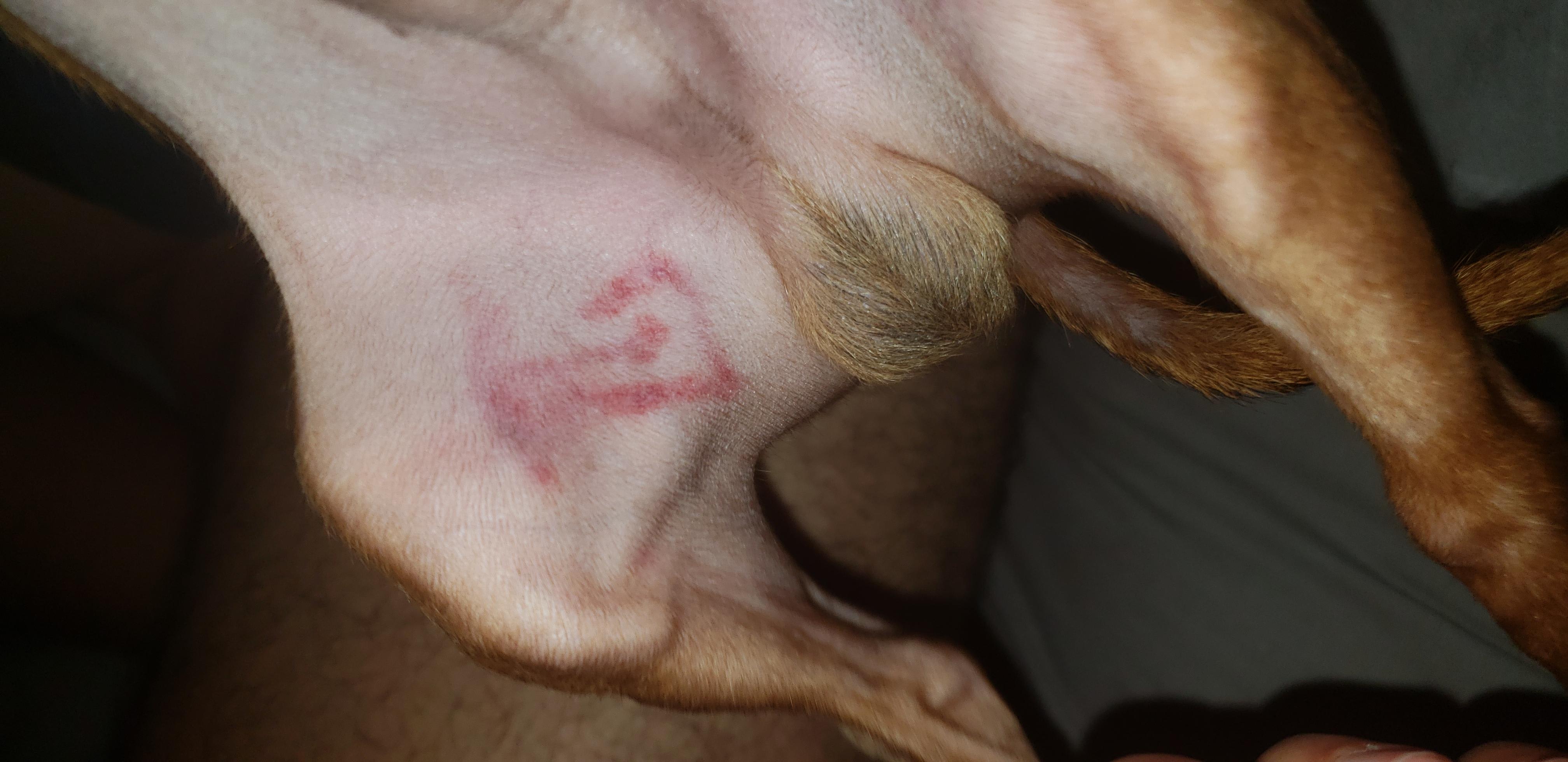 Question details sensitive content