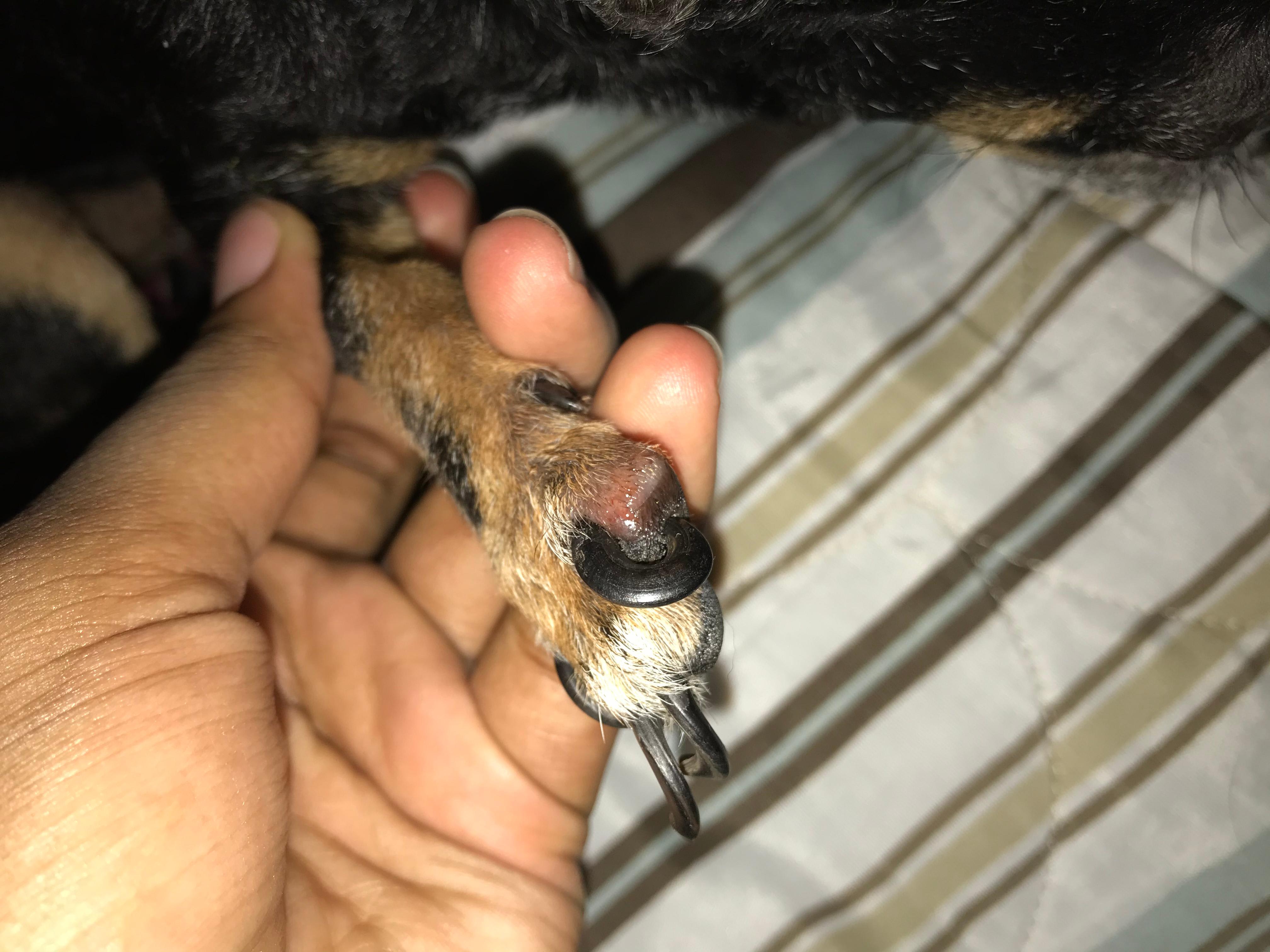 Question details sensitive content