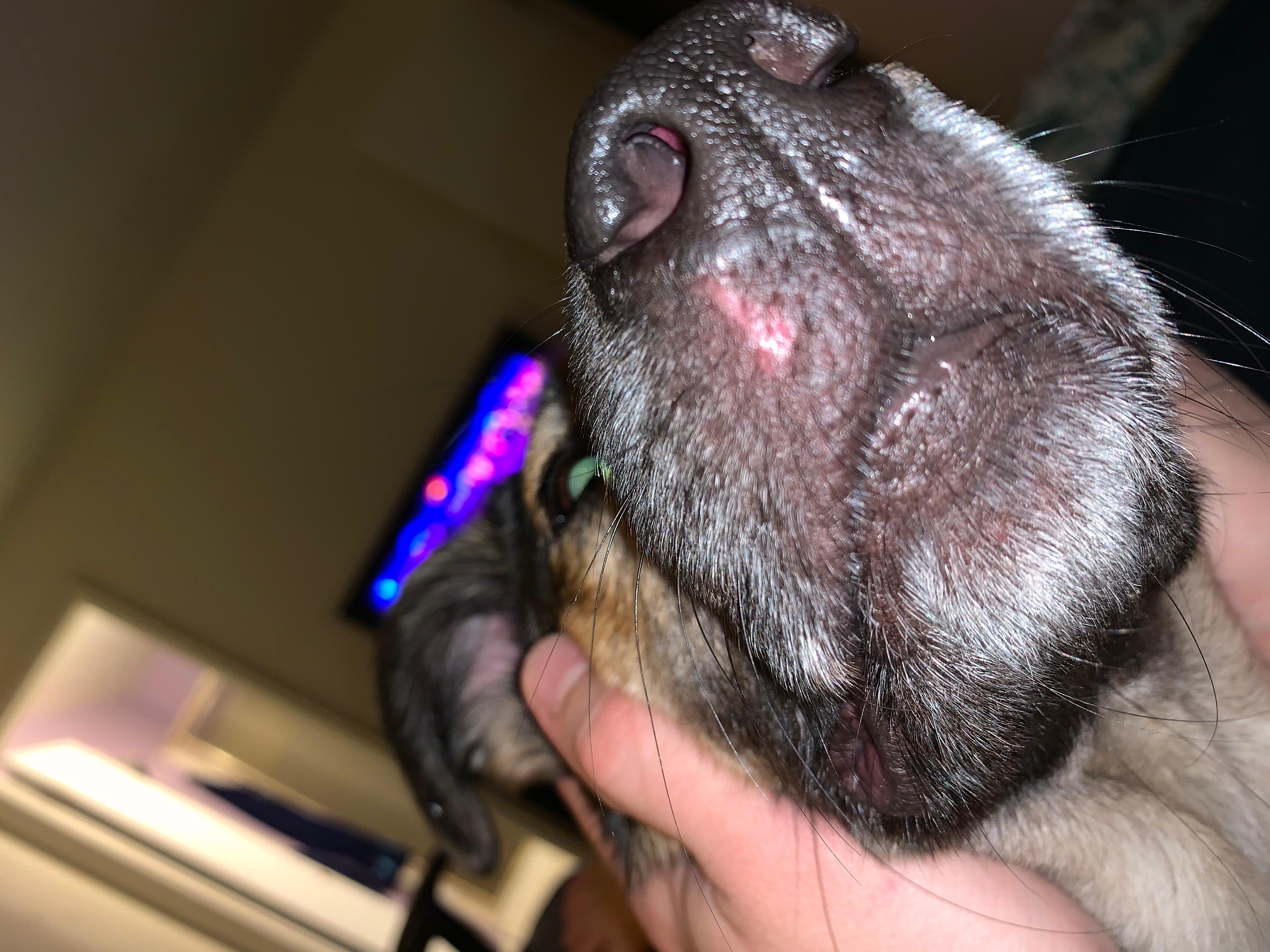 Question details sensitive content