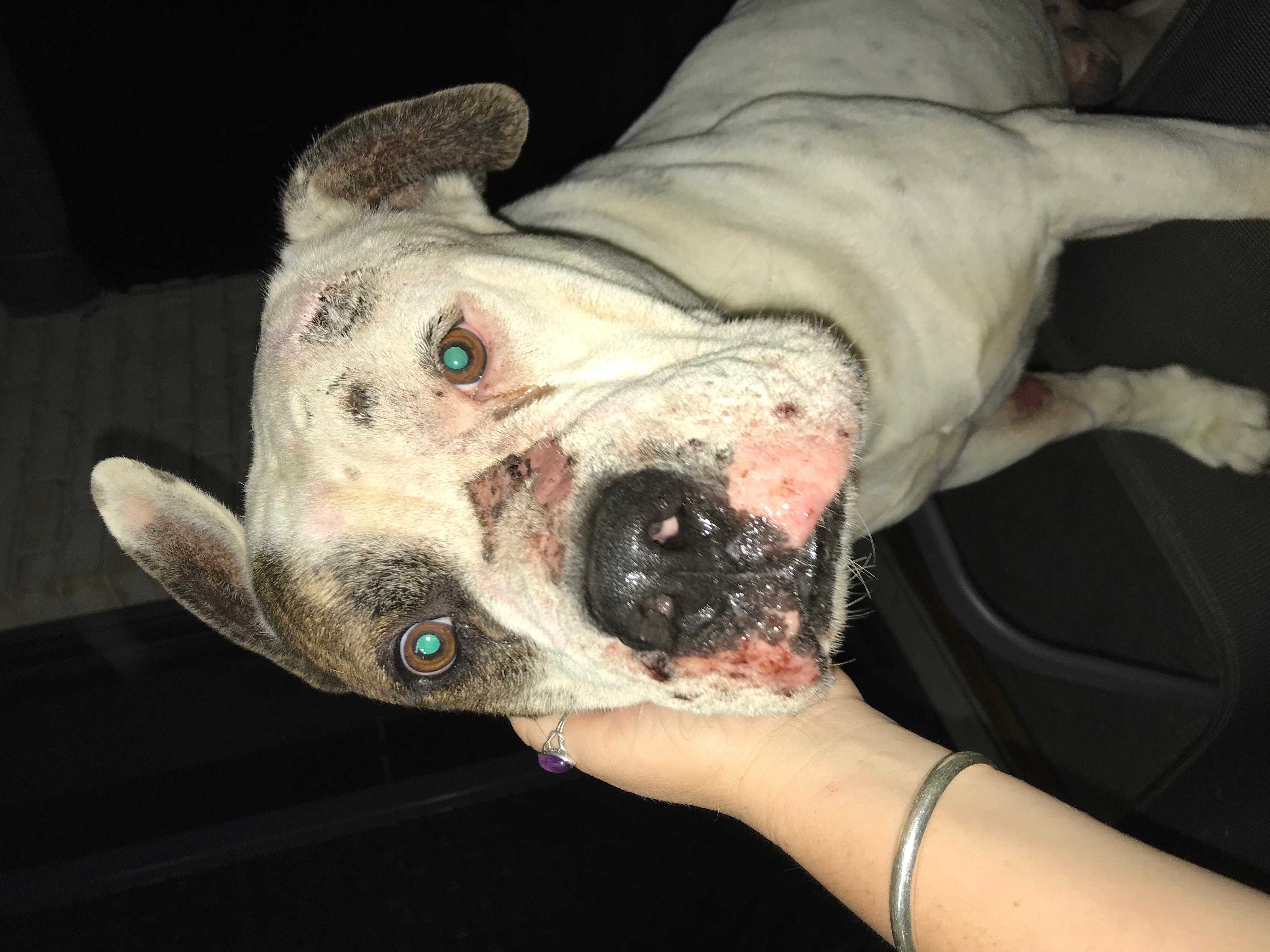 Question details sensitive content