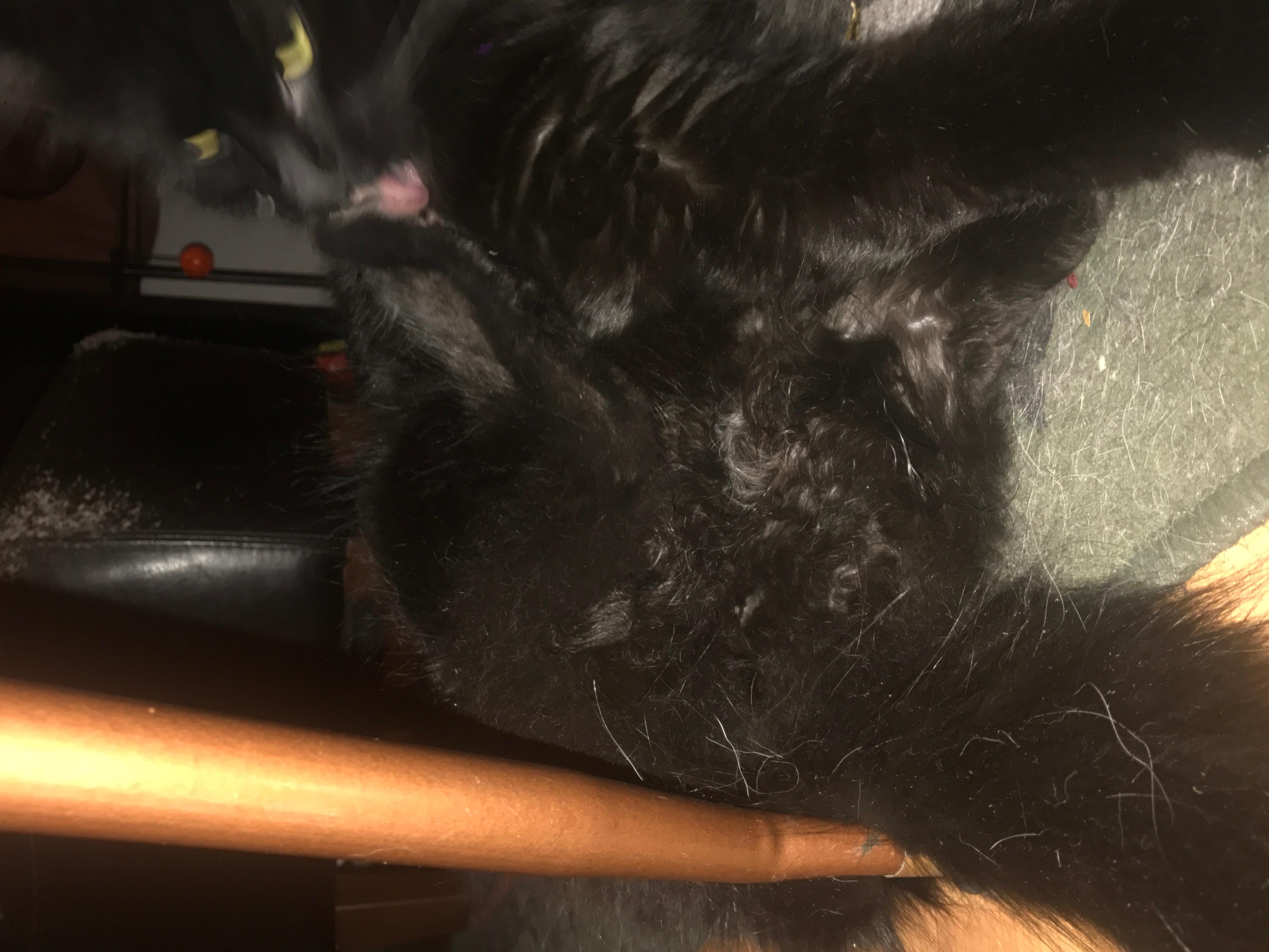 Question details sensitive content