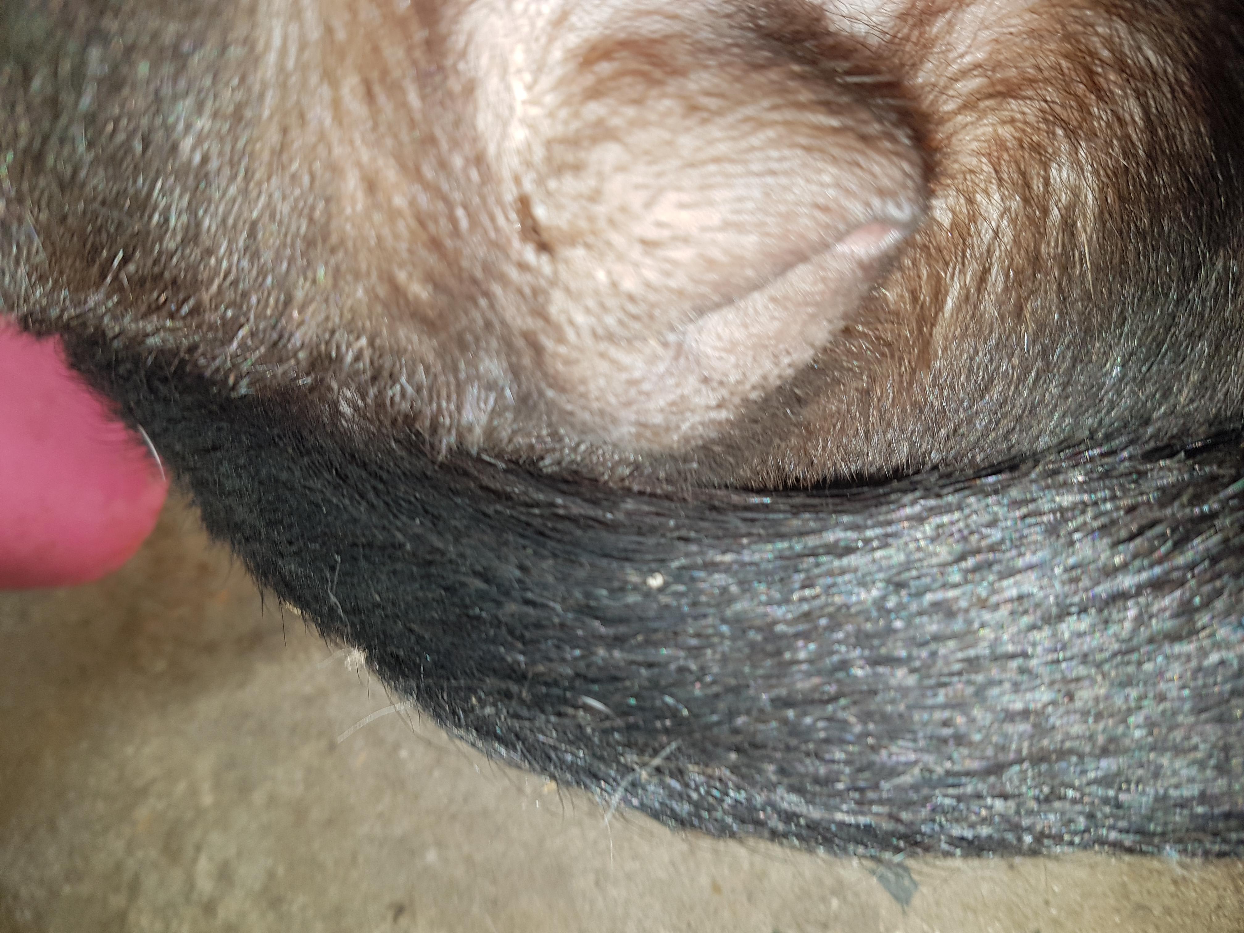 Question details sensitive content